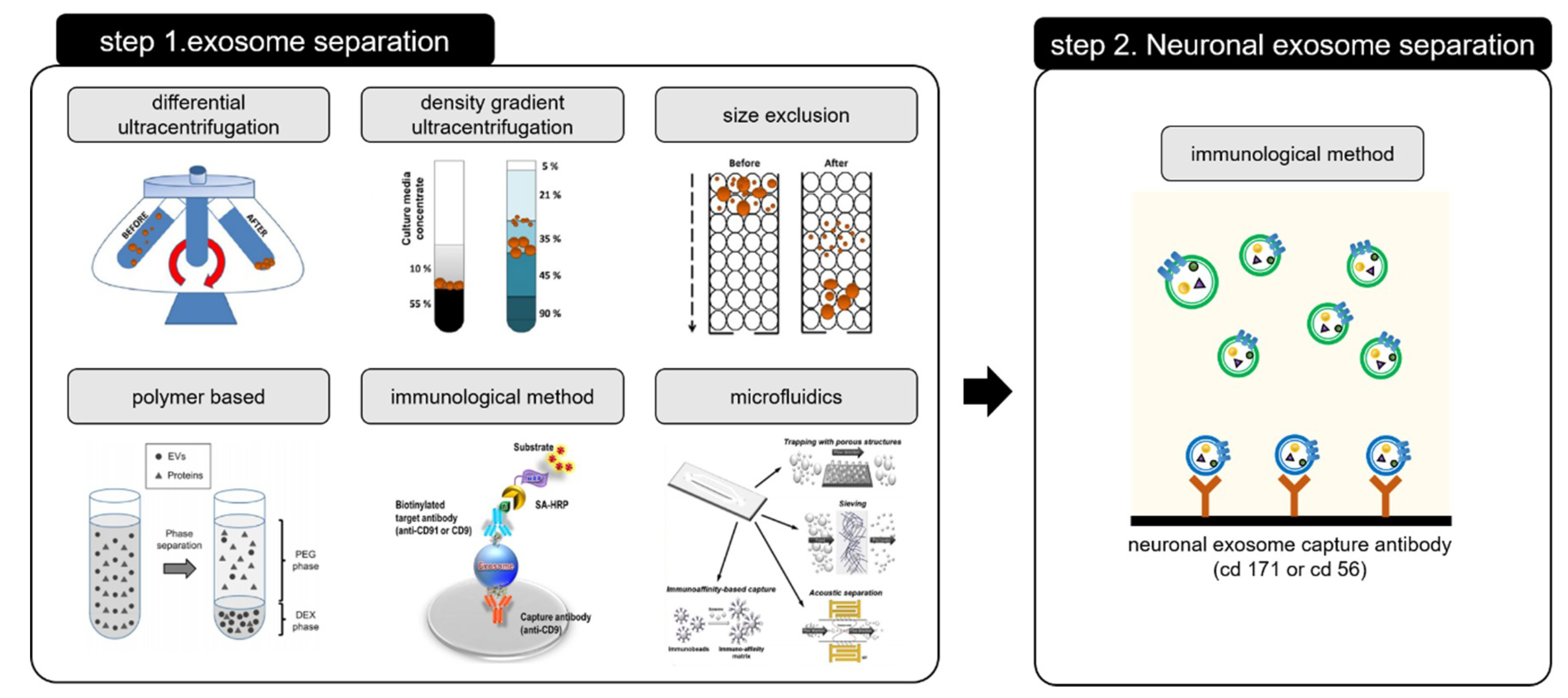 Micromachines 09 00634 g011