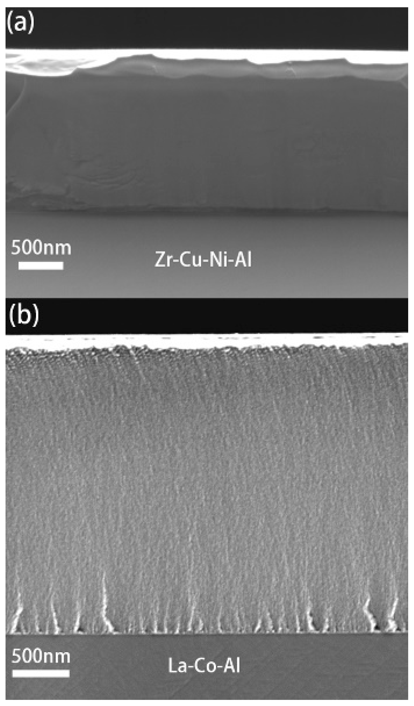 Micromachines 09 00636 g001