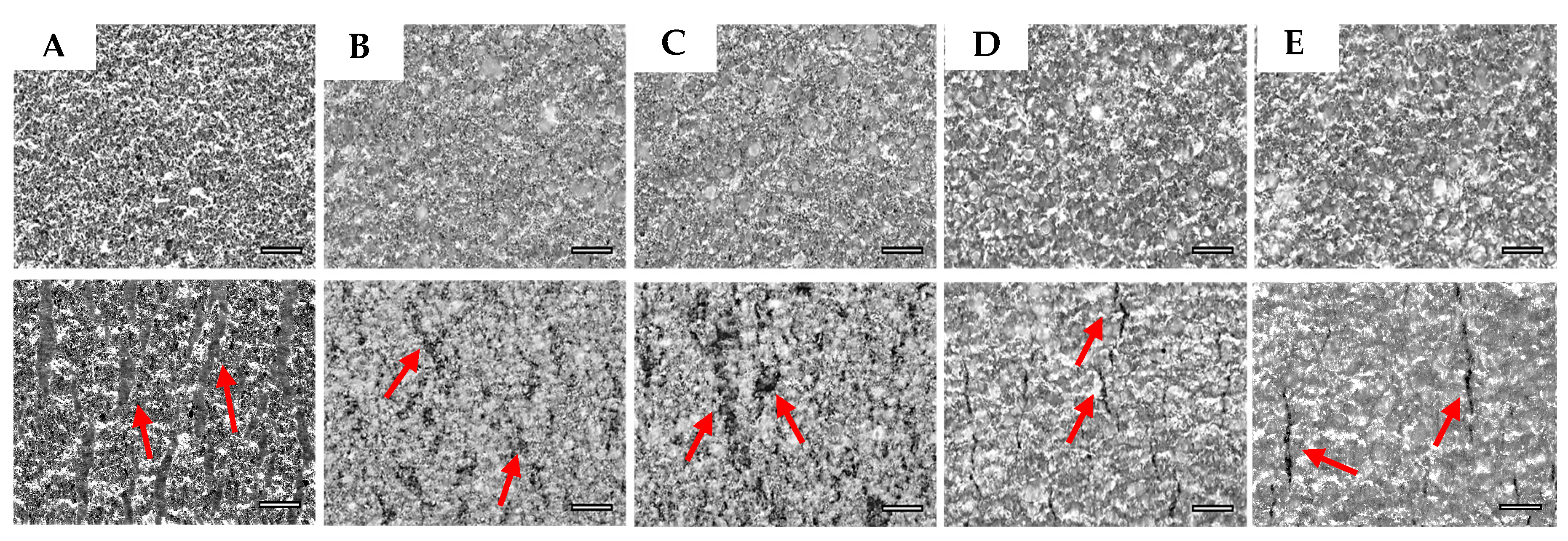 Micromachines 09 00645 g009 Micromachines 09 00645 g009