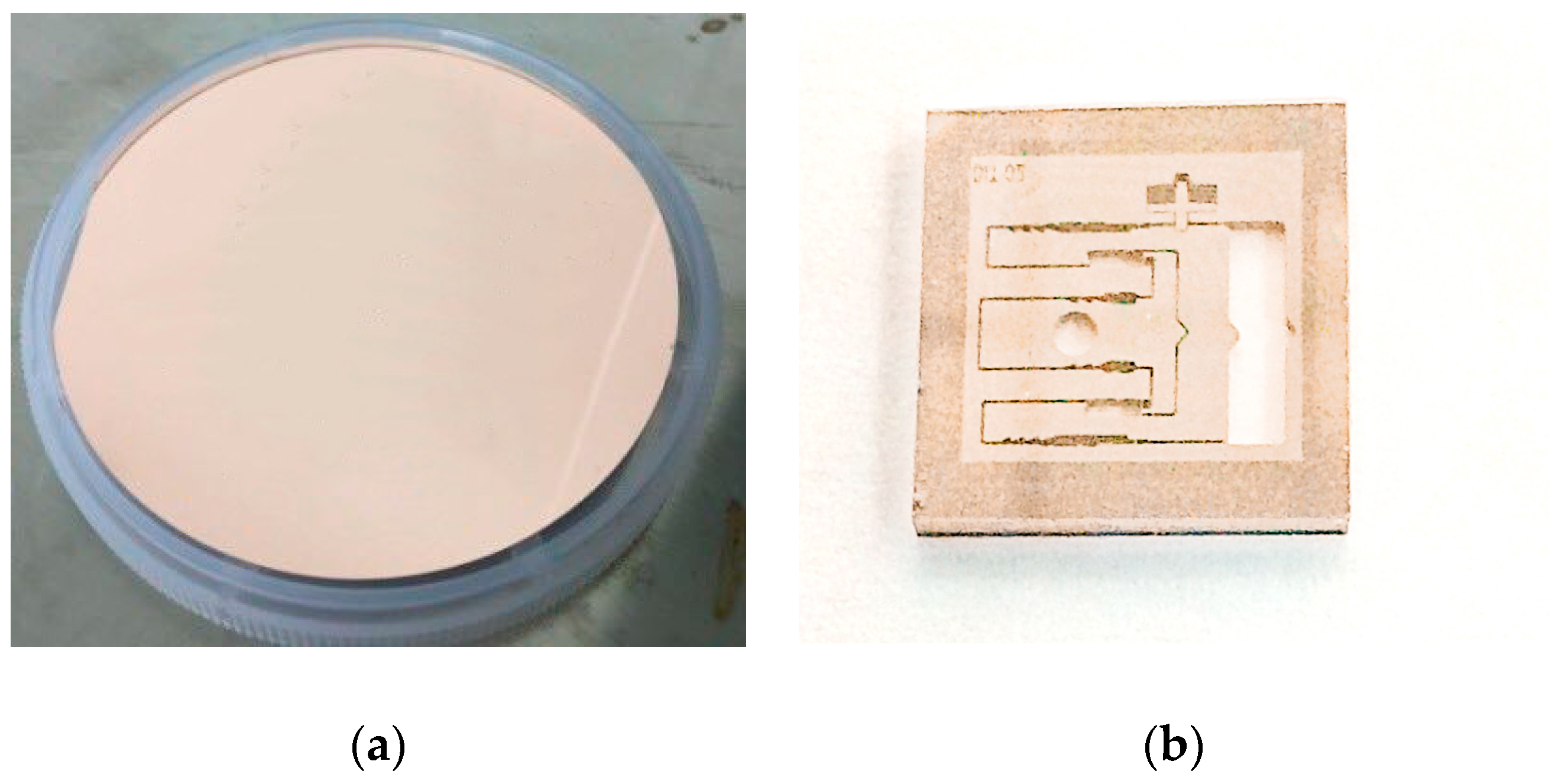 Micromachines 09 00652 g011