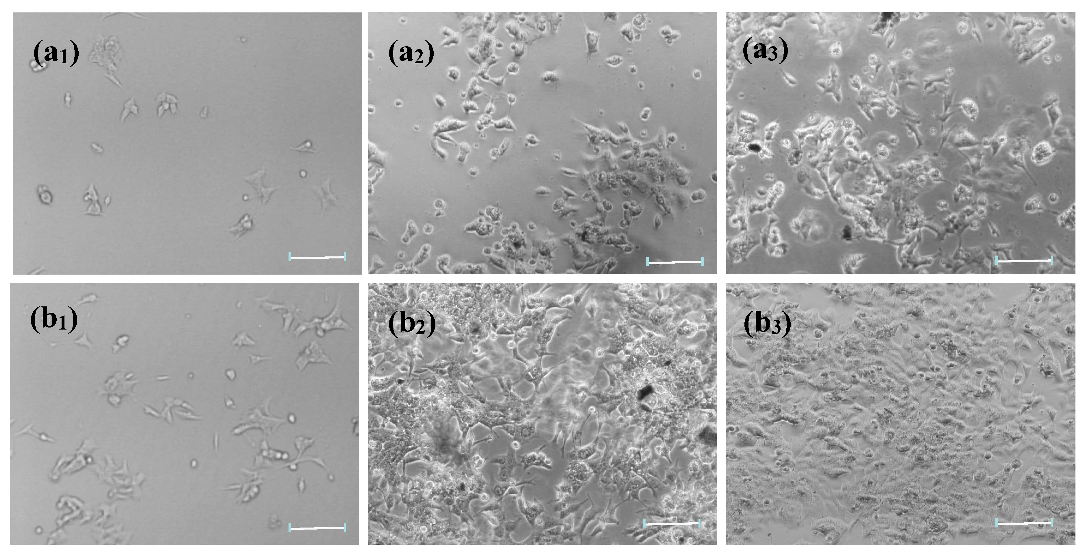 Micromachines 09 00669 g003 Micromachines 09 00669 g003