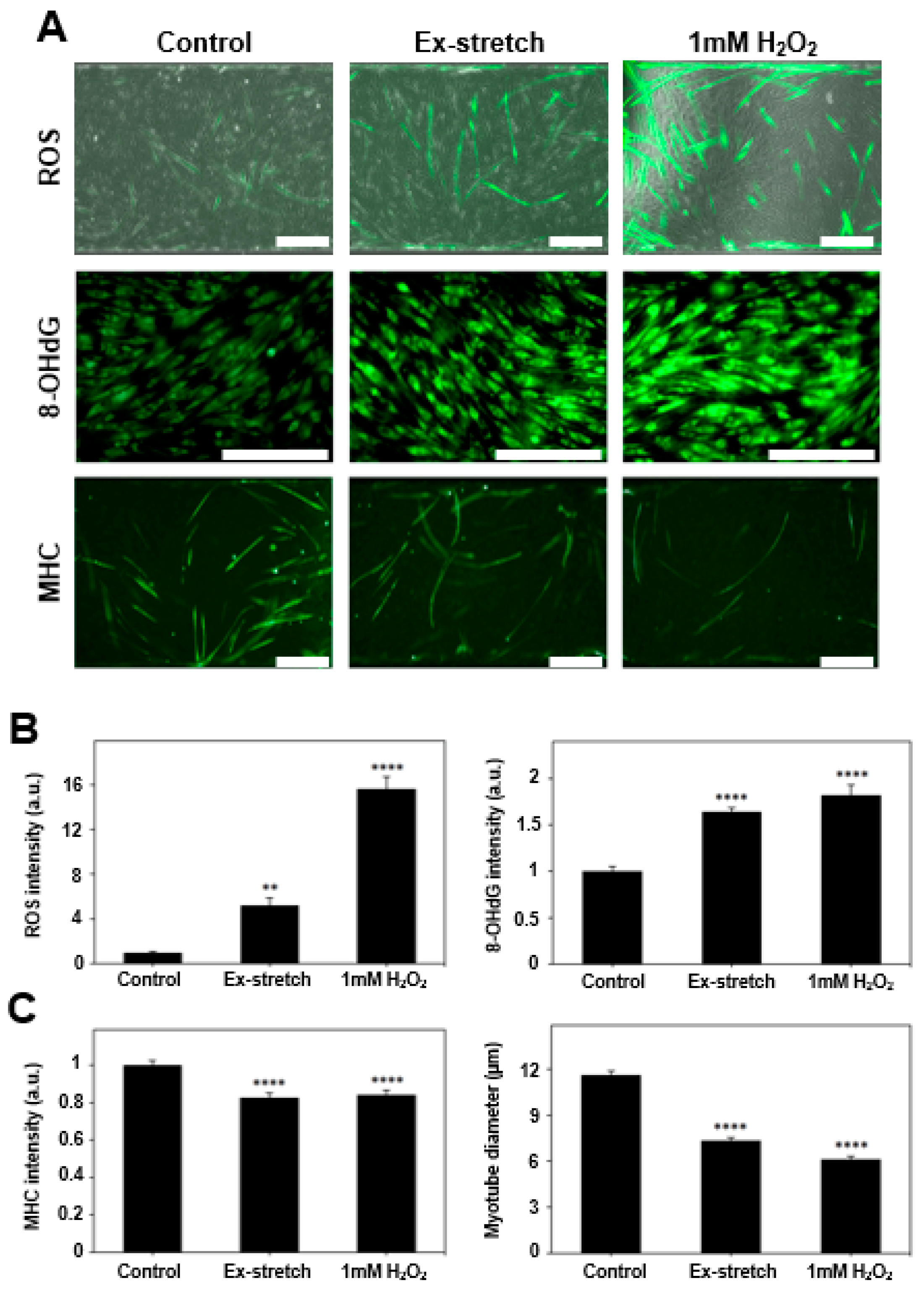 Micromachines 09 00671 g003 Micromachines 09 00671 g003