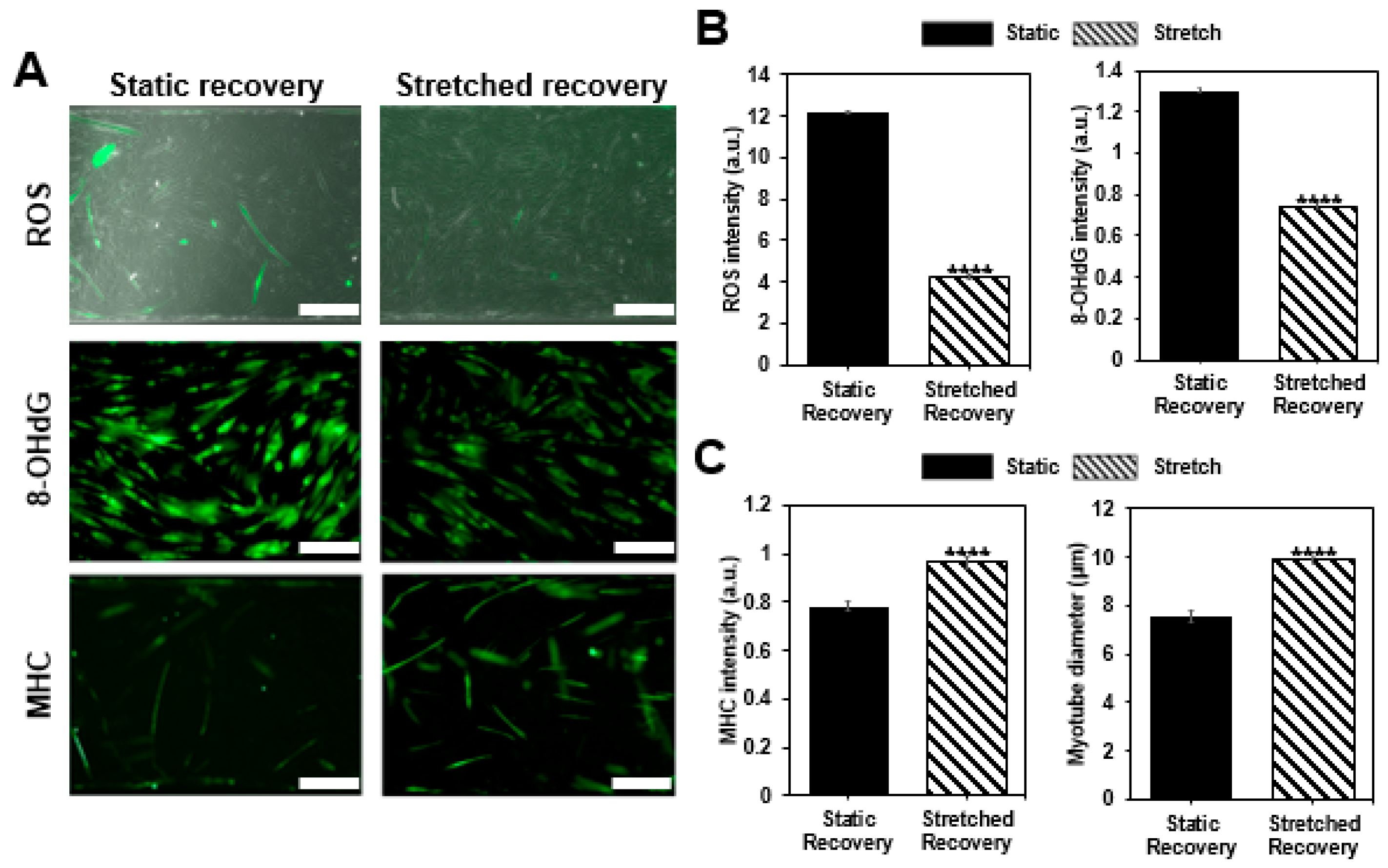 Micromachines 09 00671 g004 Micromachines 09 00671 g004
