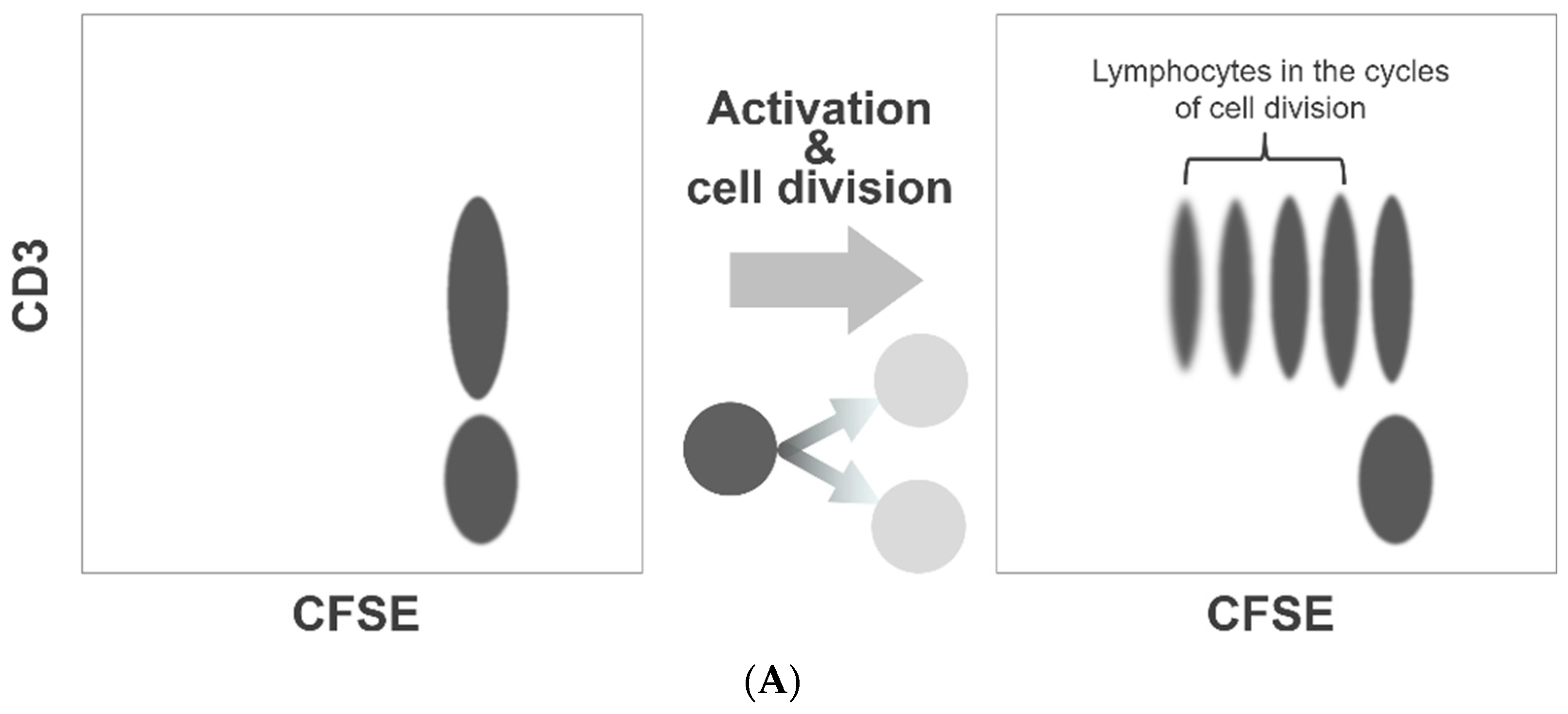 Micromachines 10 00001 g001a