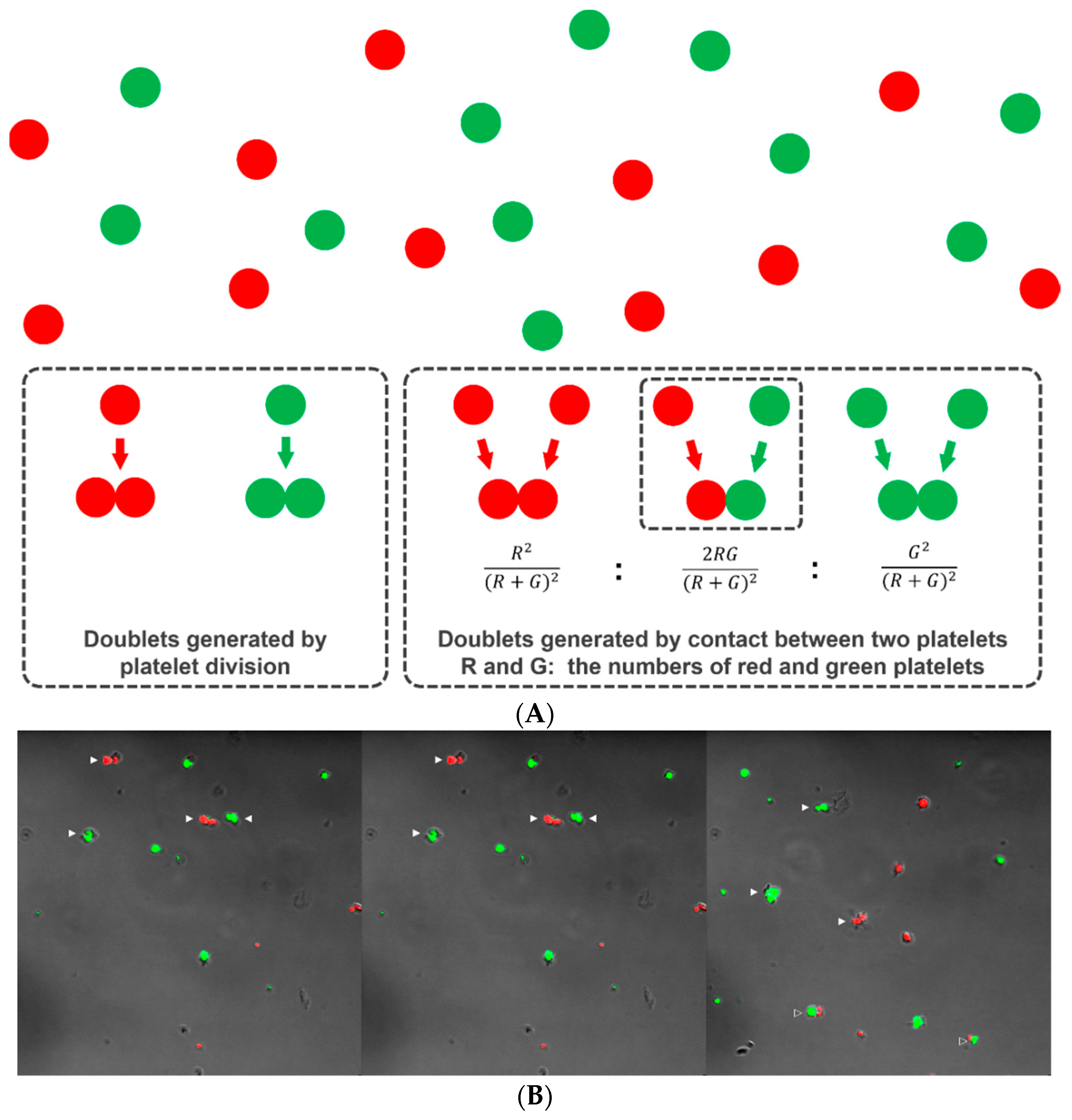 Micromachines 10 00001 g002
