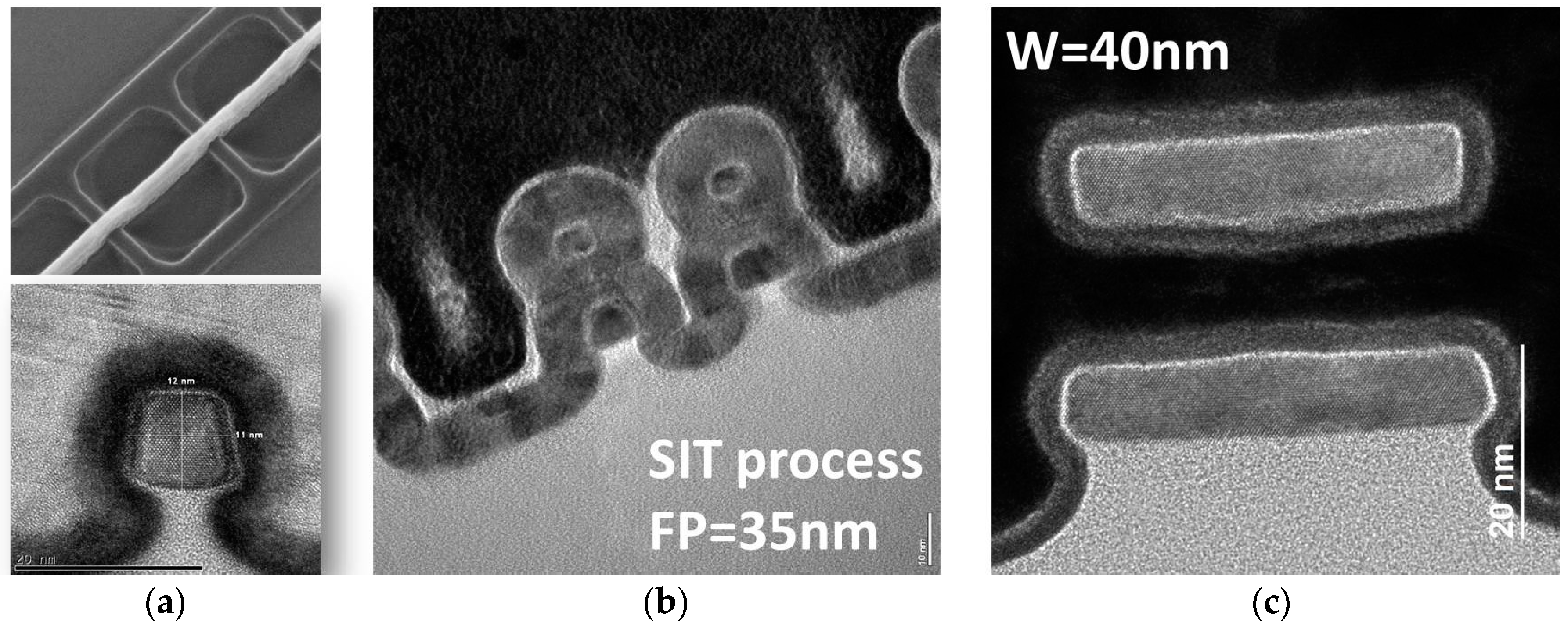 Micromachines 10 00006 g001
