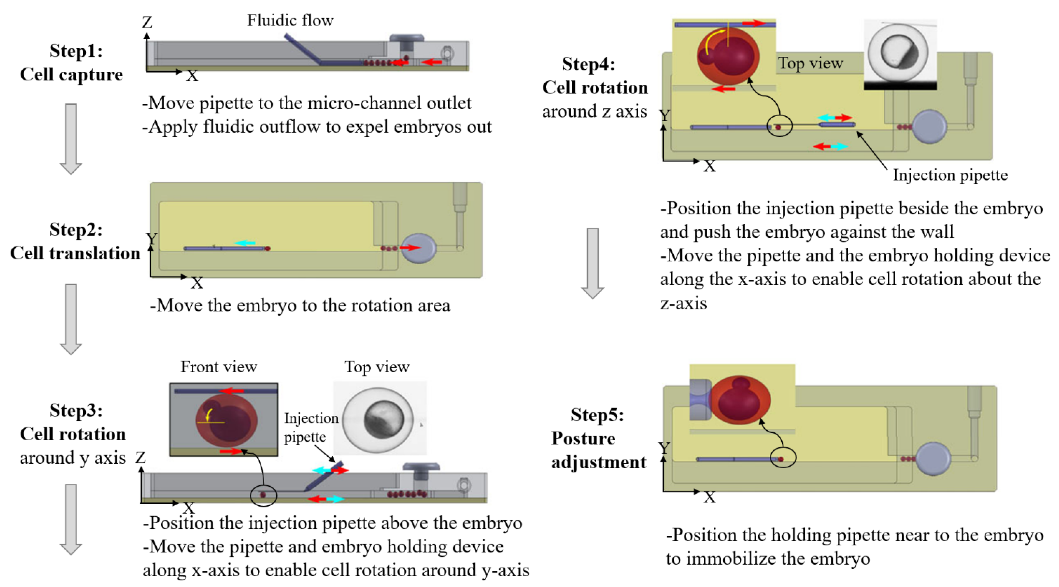 Micromachines | Free Full-Text | A Review of Automated Microinjection of Zebrafish Embryos Micromachines | Free Full-Text | A Review of Automated Microinjection of Zebrafish Embryos