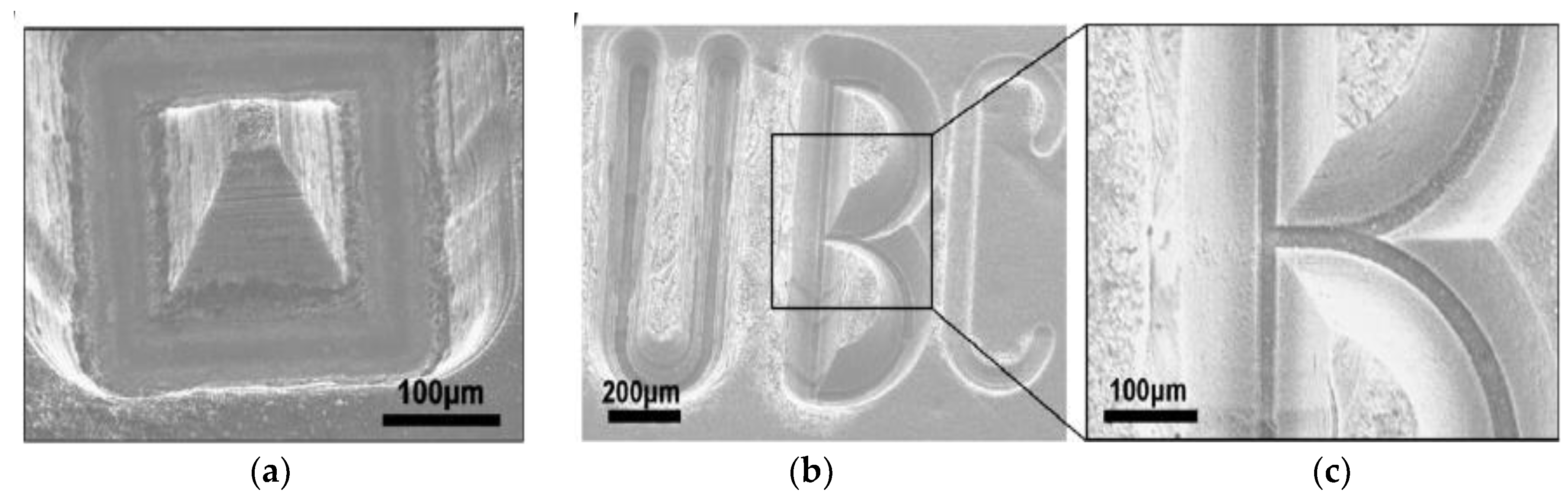 Micromachines 10 00010 g003