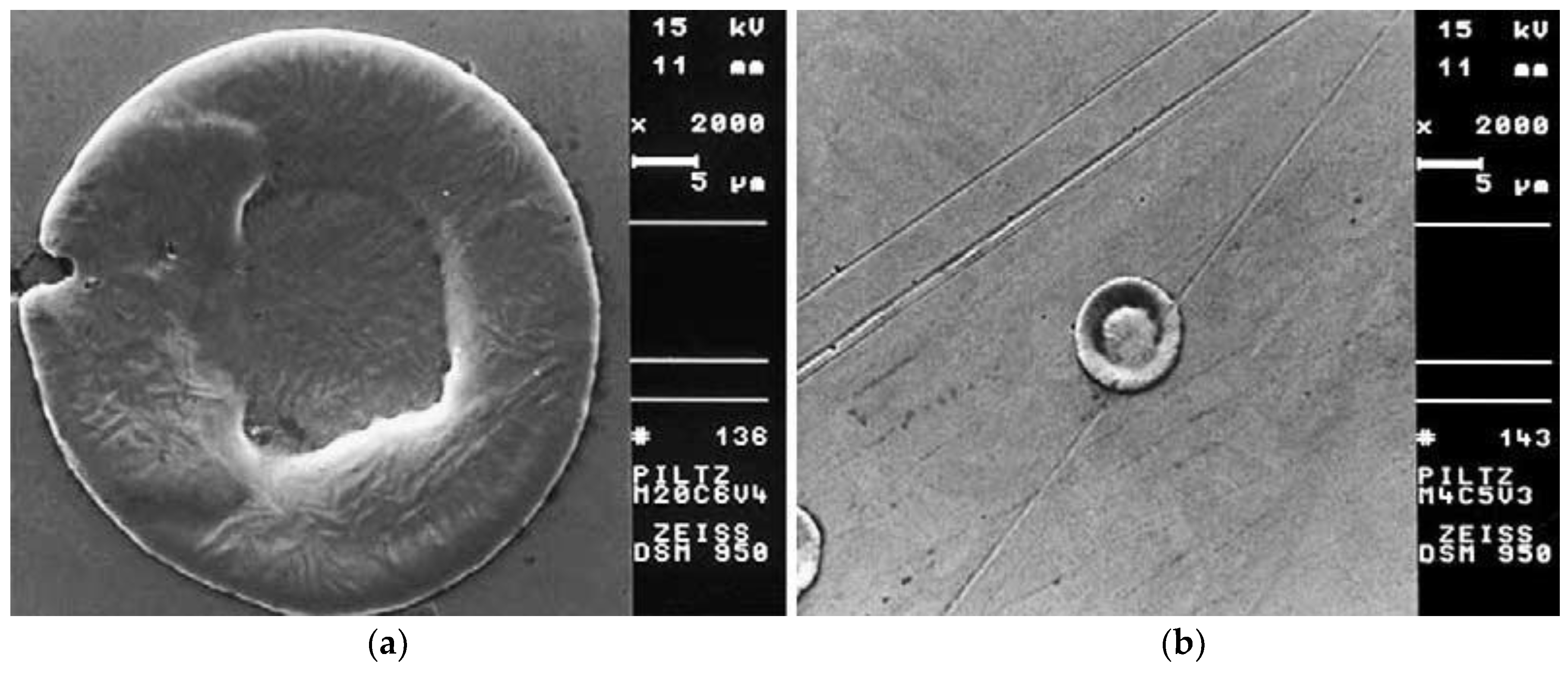 Micromachines 10 00010 g008