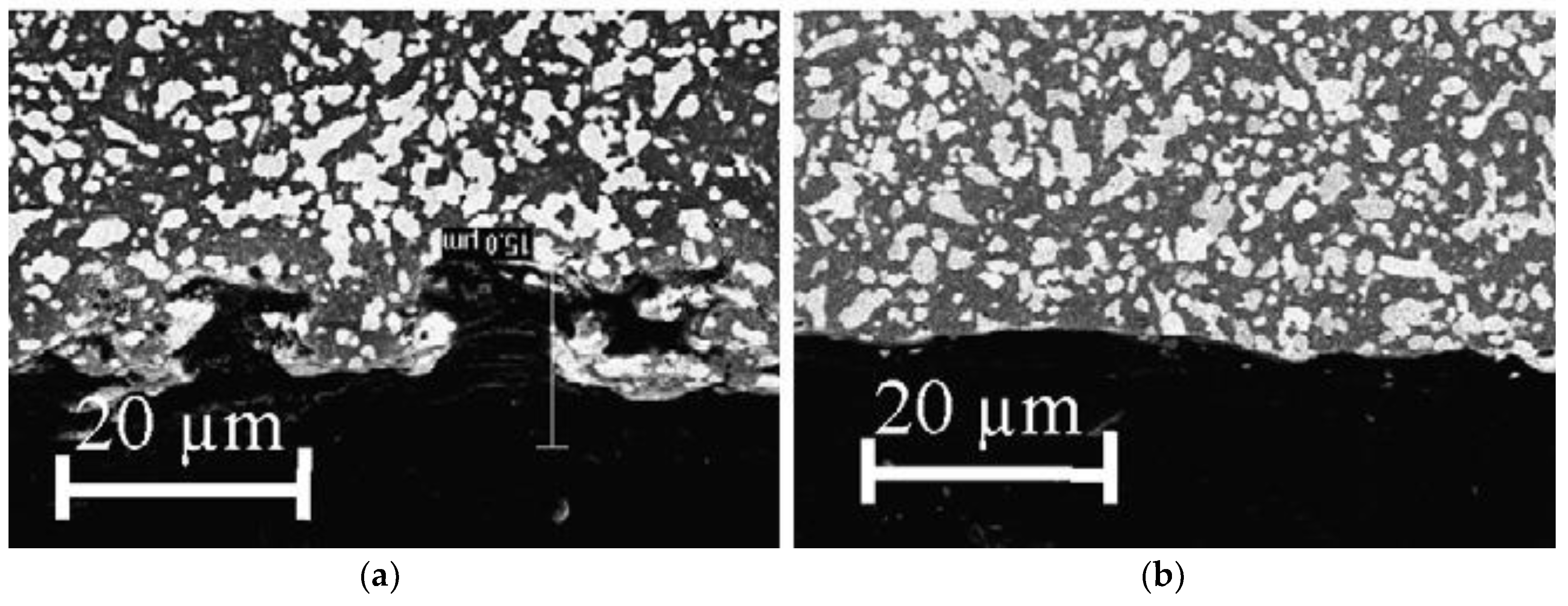 Micromachines 10 00010 g019