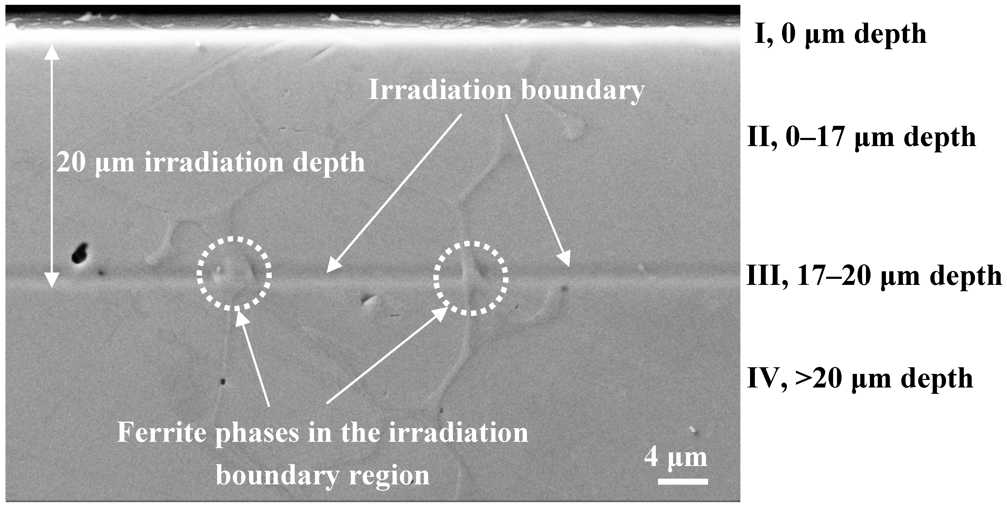Micromachines 10 00011 g003 Micromachines 10 00011 g003
