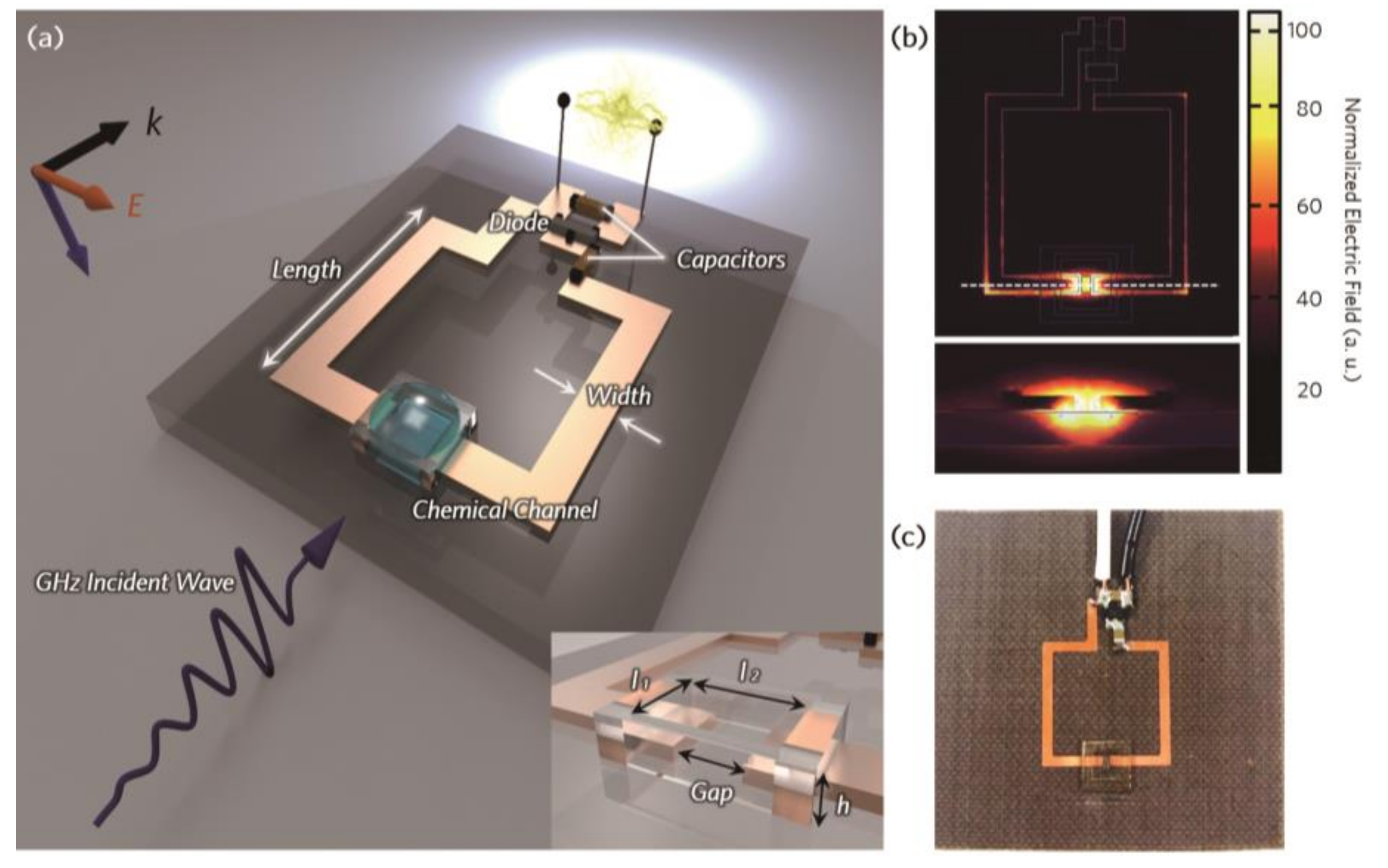 Micromachines 10 00012 g001
