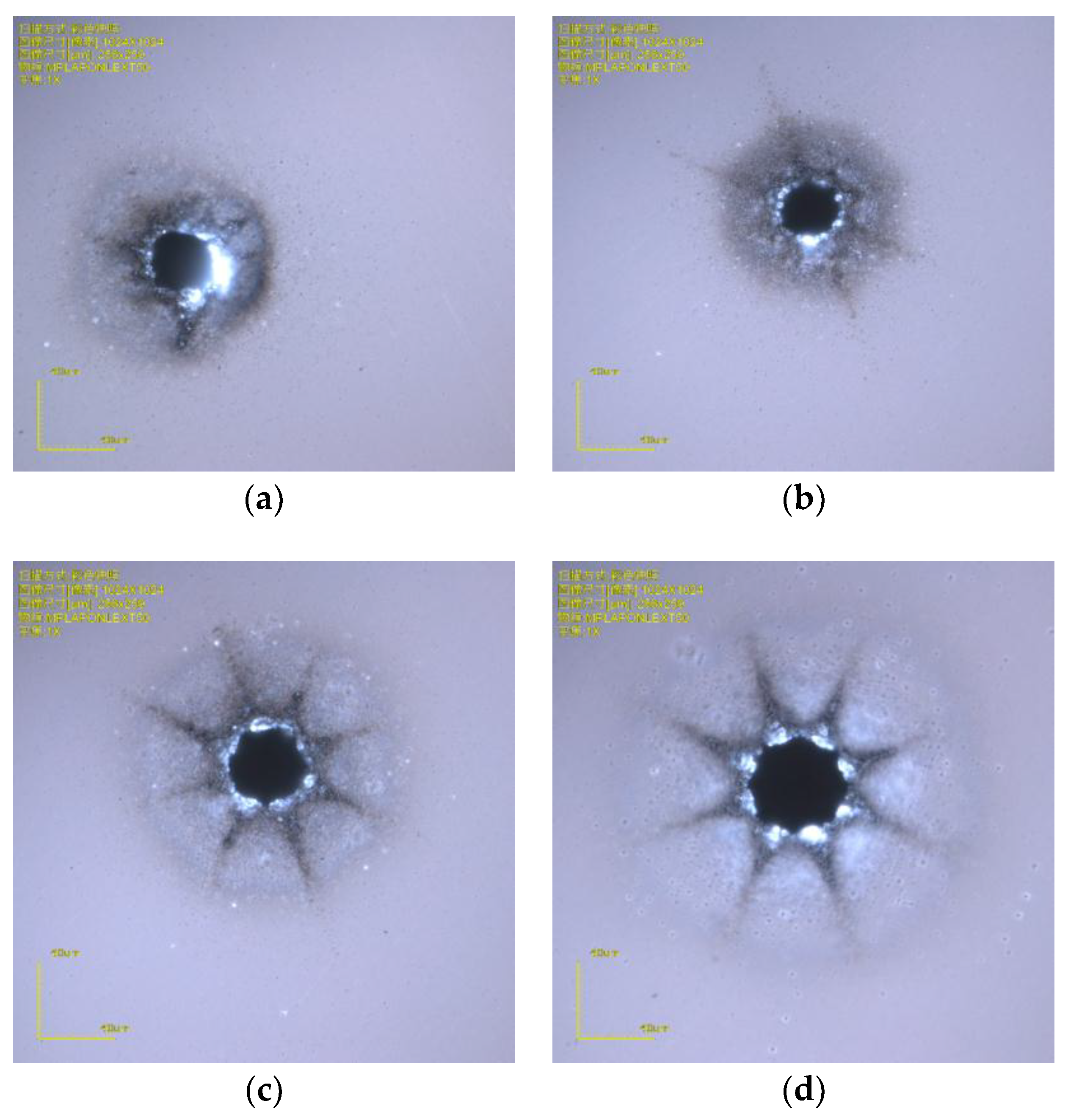 Micromachines 10 00015 g001 Micromachines 10 00015 g001