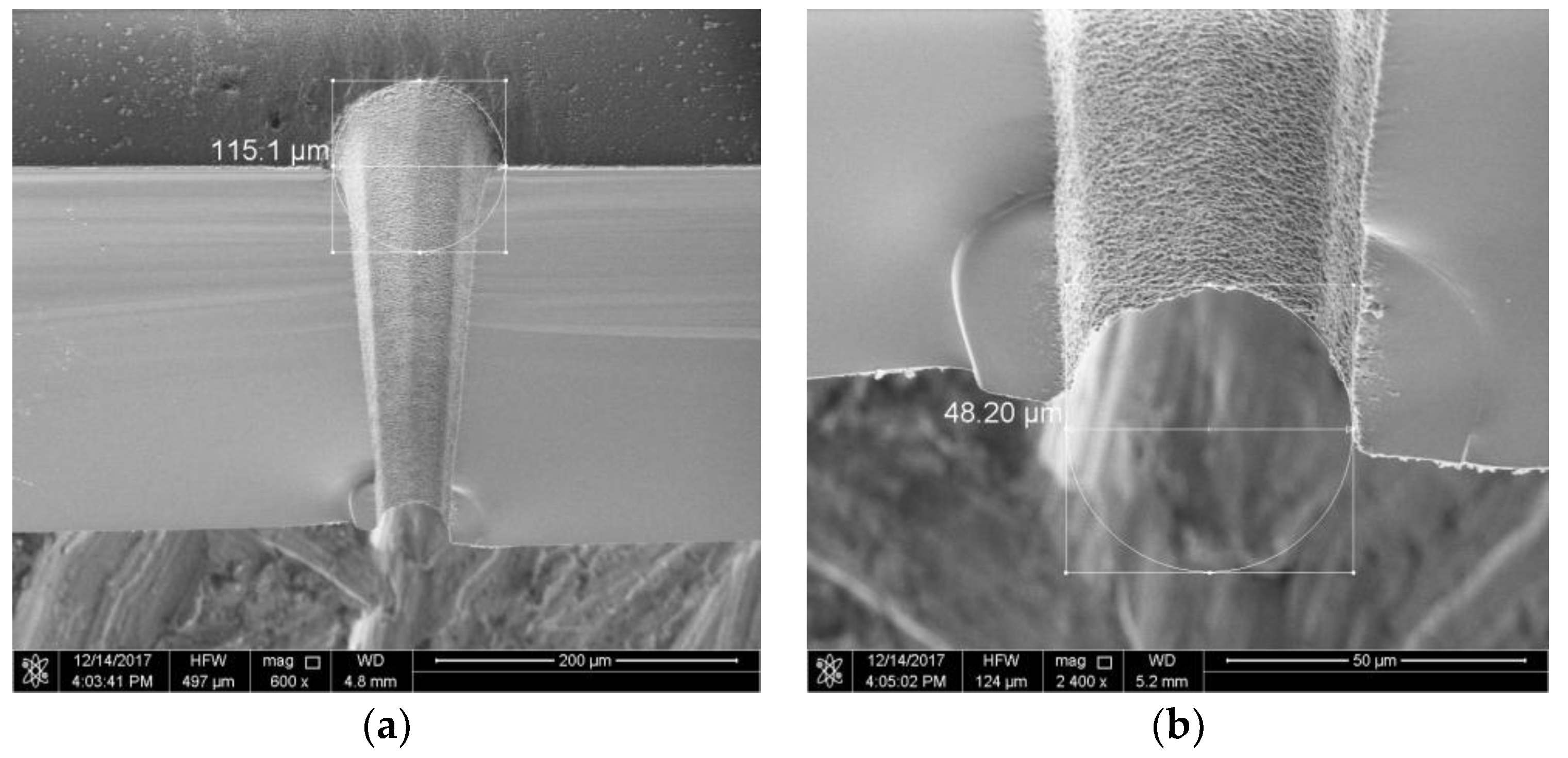 Micromachines 10 00015 g006 Micromachines 10 00015 g006