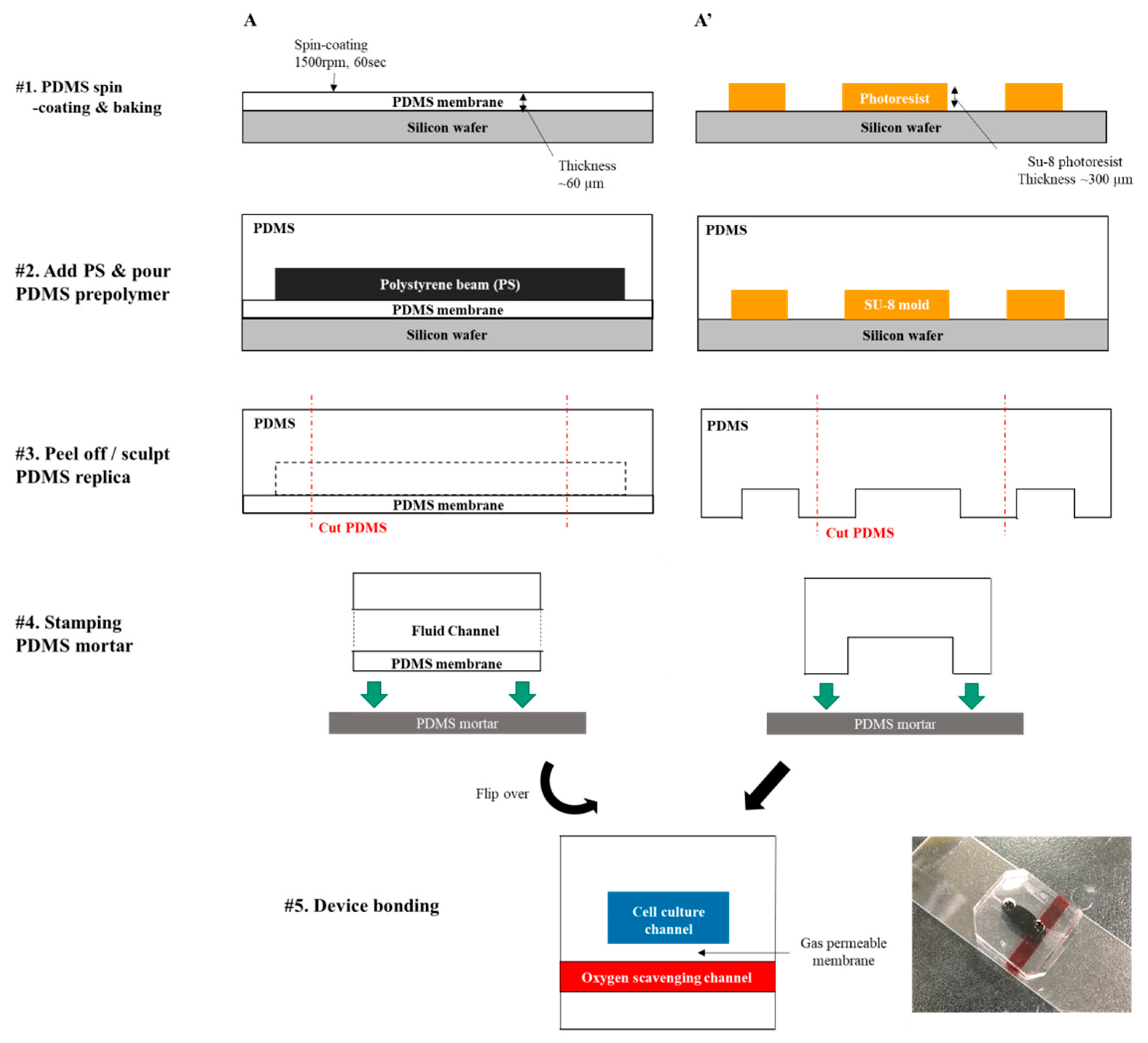 Micromachines 10 00016 g002