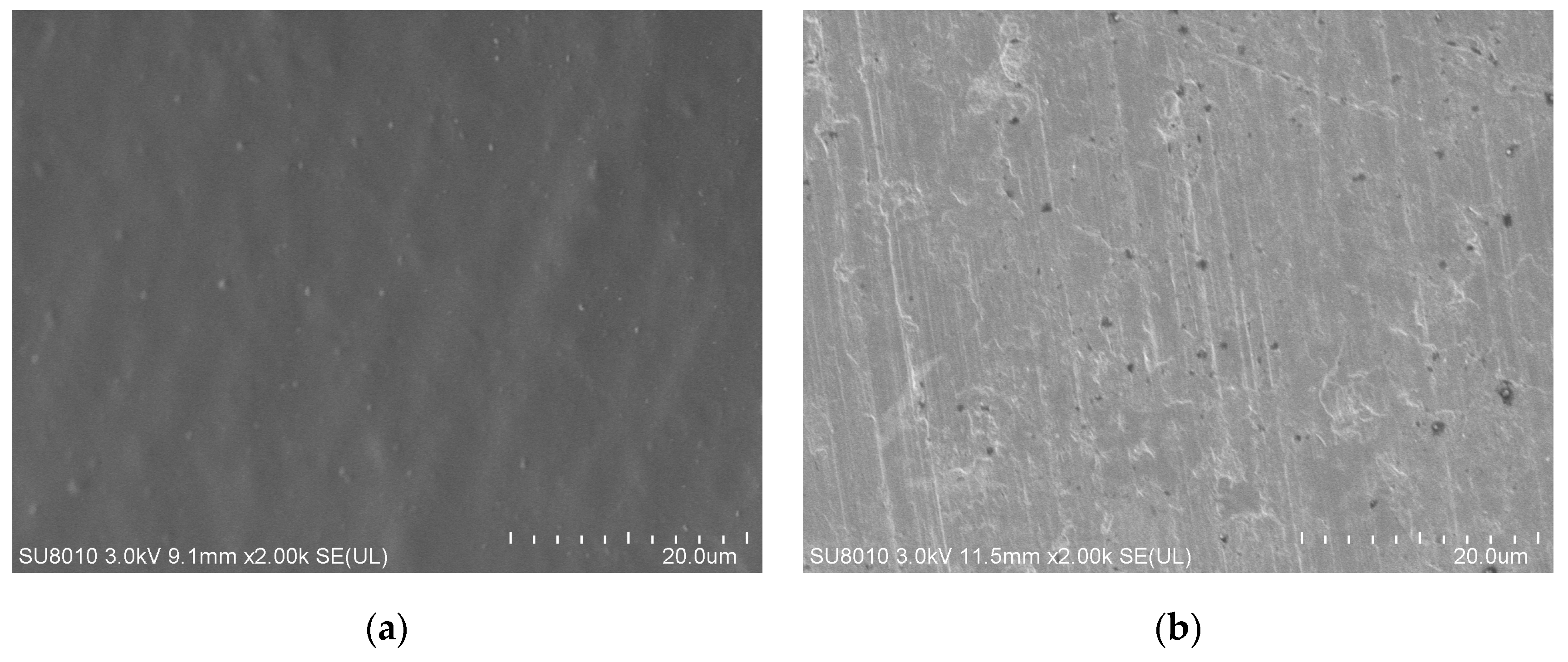 Micromachines 10 00020 g008 550