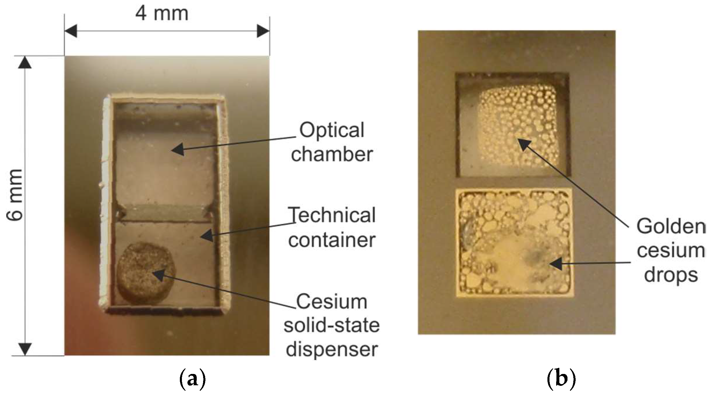 Micromachines 10 00025 g013 Micromachines 10 00025 g013