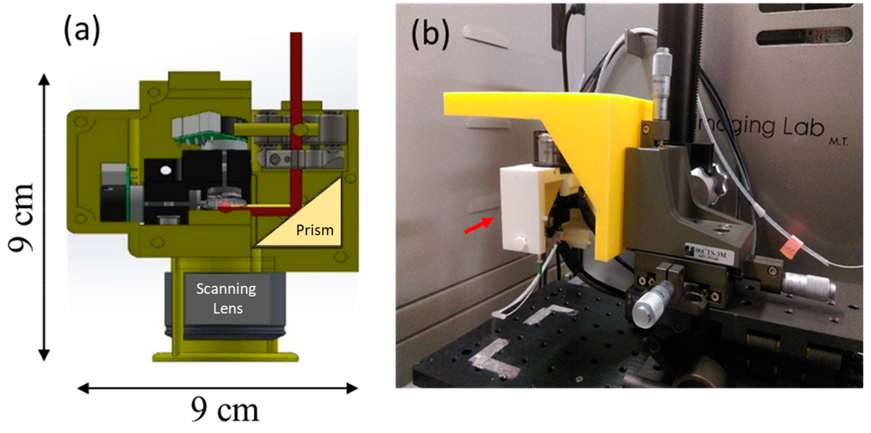 Micromachines 10 00035 g002 Micromachines 10 00035 g002