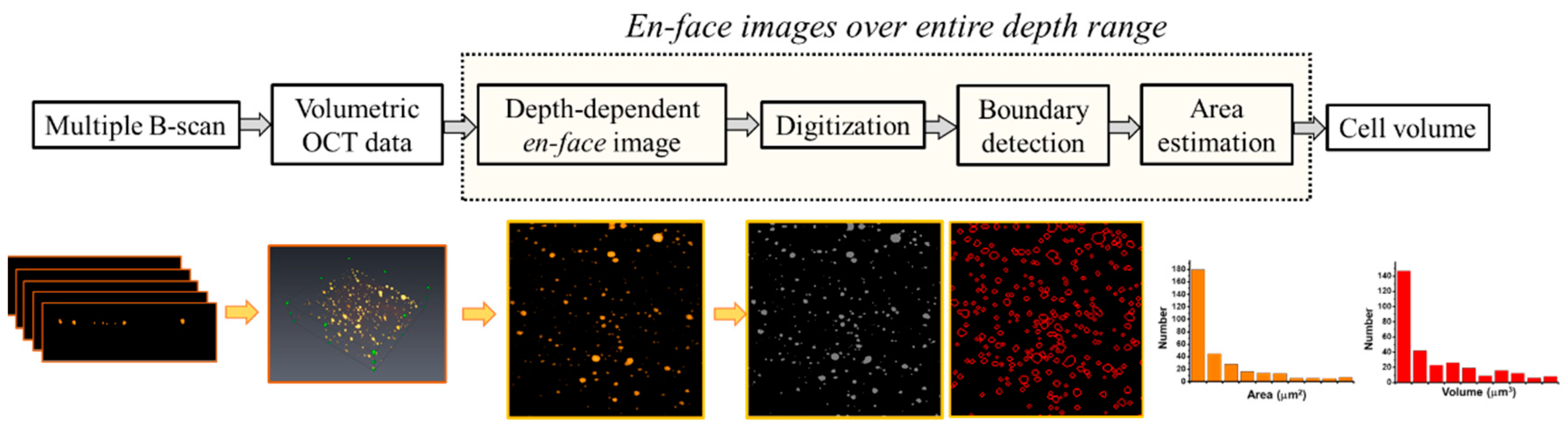 Micromachines 10 00035 g003 Micromachines 10 00035 g003