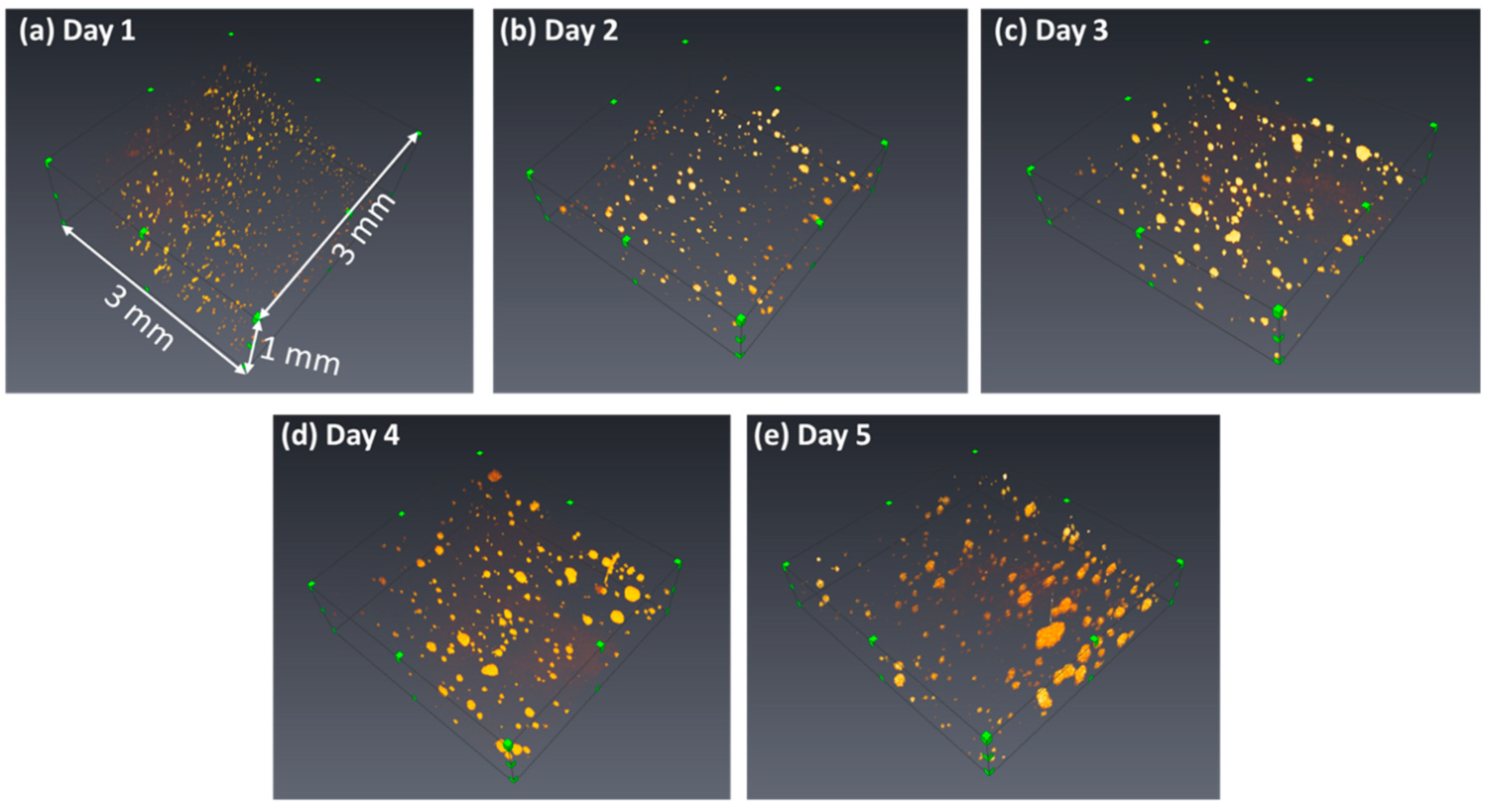 Micromachines 10 00035 g006 Micromachines 10 00035 g006