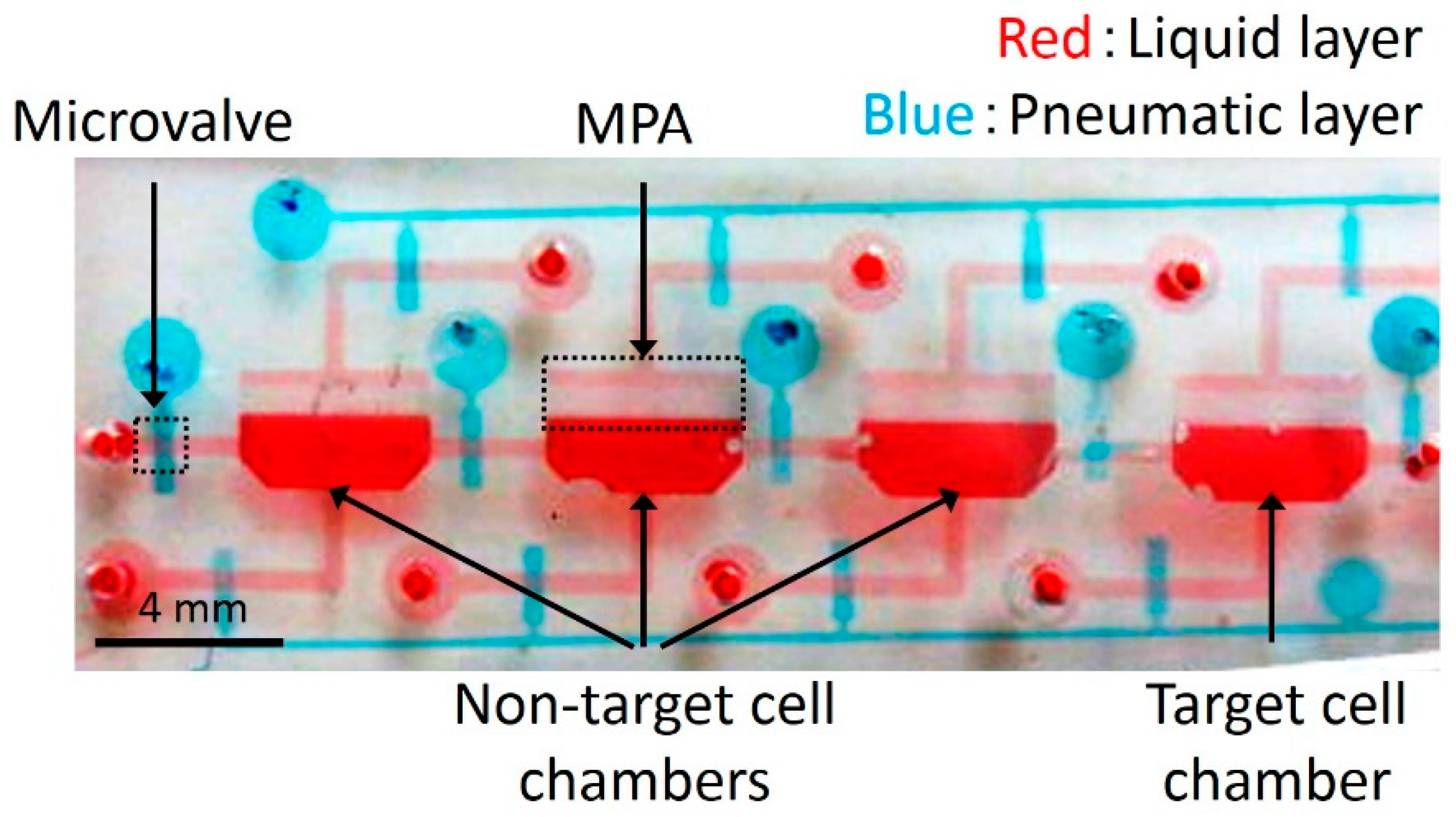 Micromachines 10 00041 g002 Micromachines 10 00041 g002