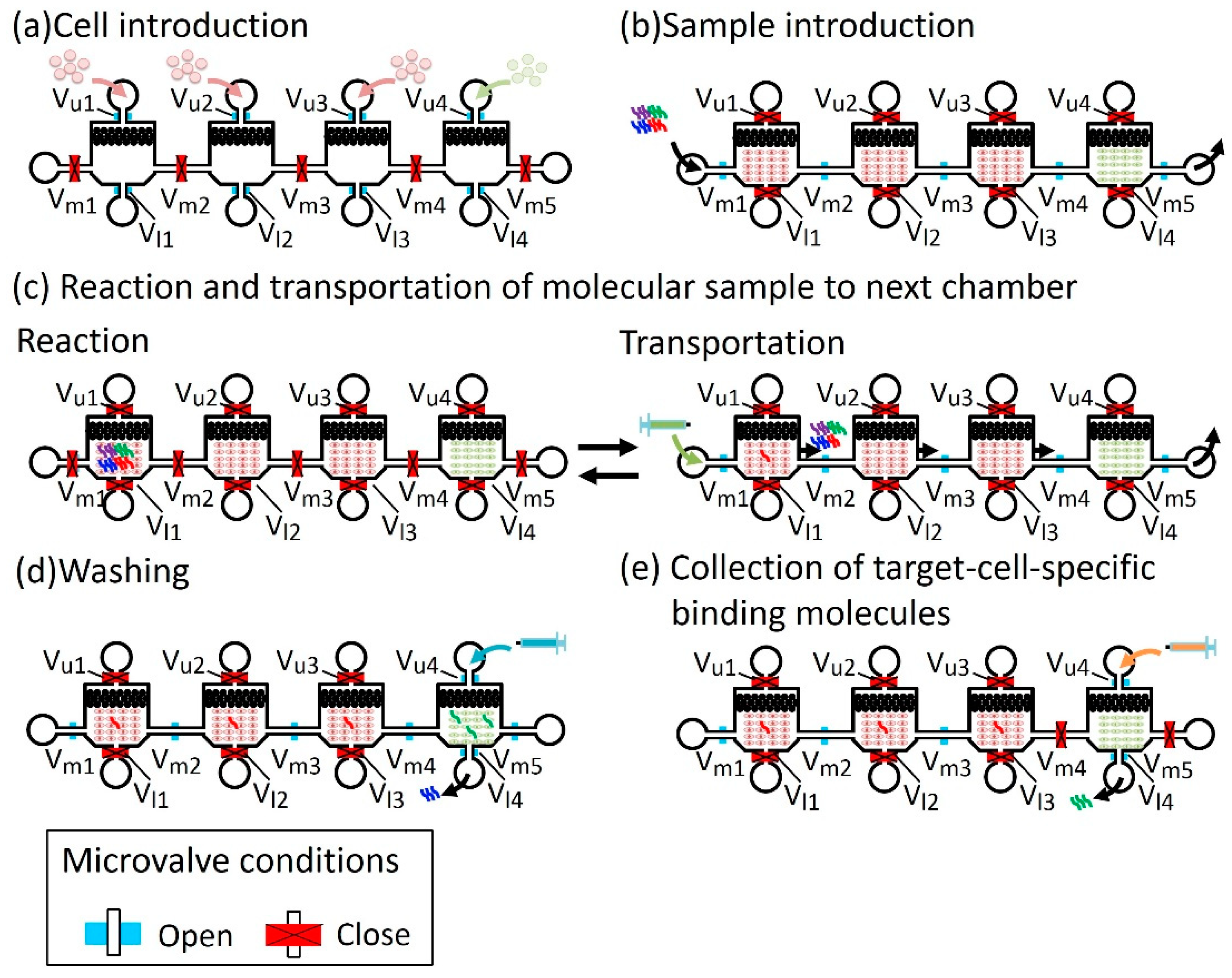 Micromachines 10 00041 g005 Micromachines 10 00041 g005