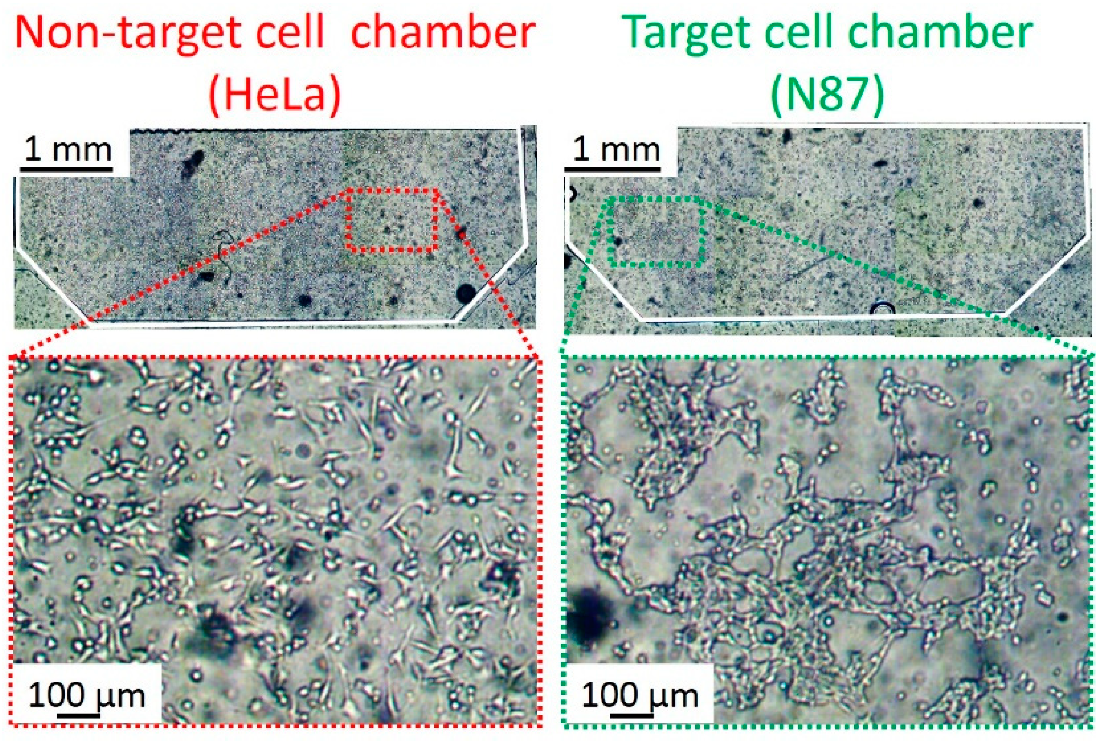 Micromachines 10 00041 g006 Micromachines 10 00041 g006