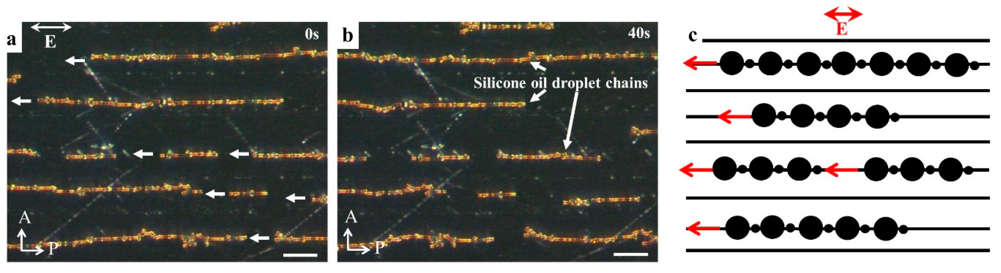 Micromachines 10 00045 g006