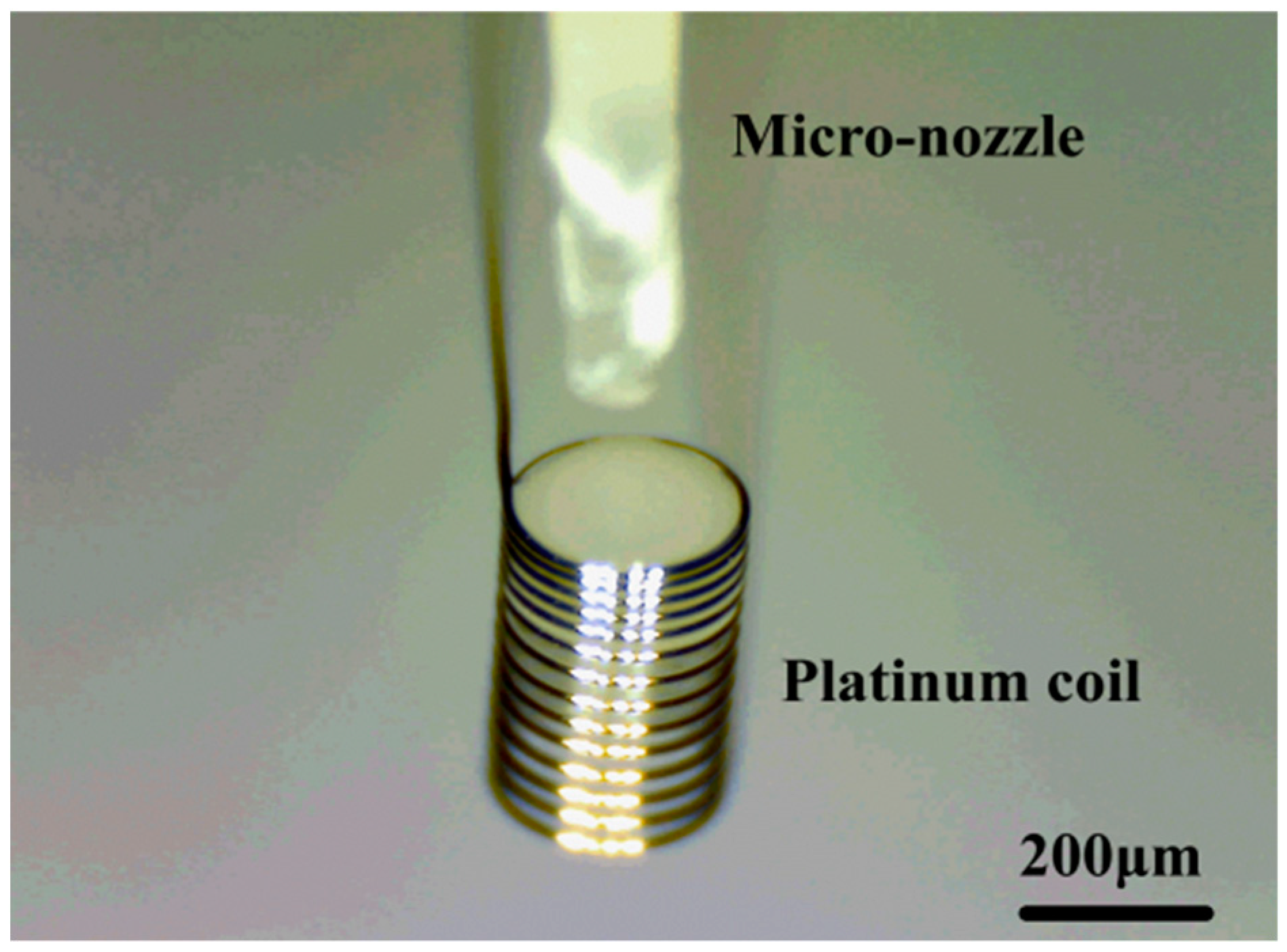 Micromachines 10 00071 g006 Micromachines 10 00071 g006