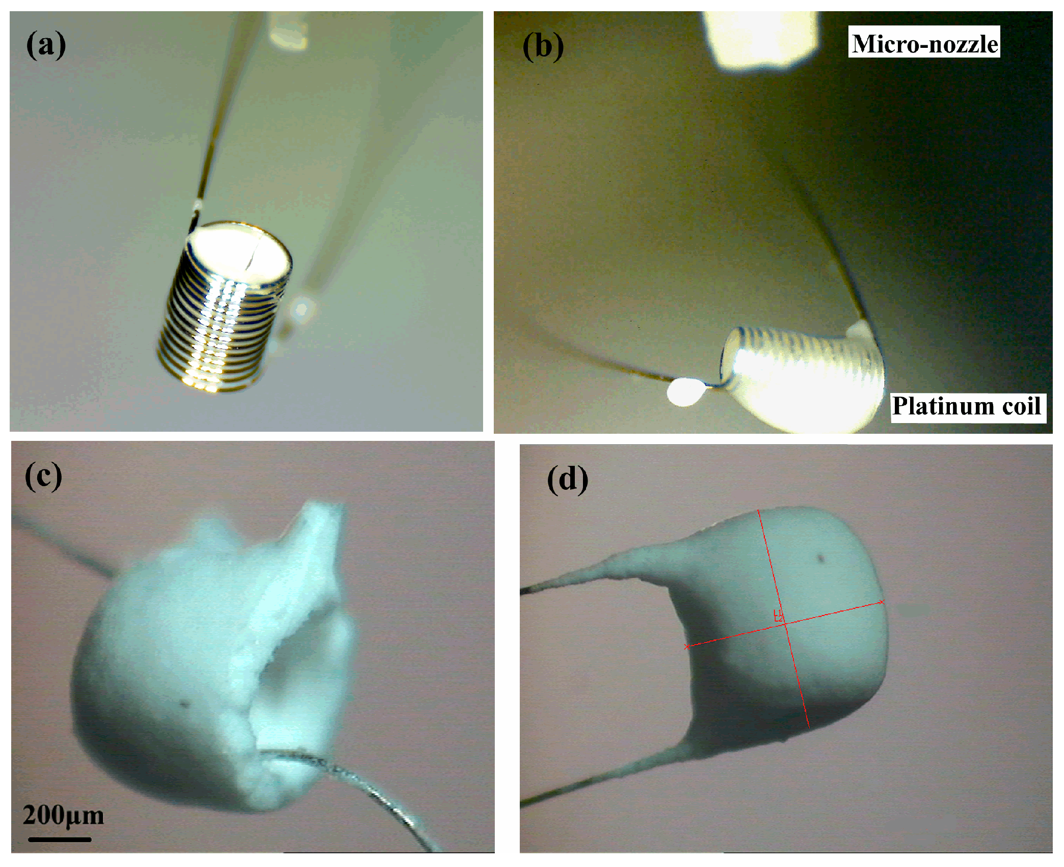Micromachines 10 00071 g007 Micromachines 10 00071 g007