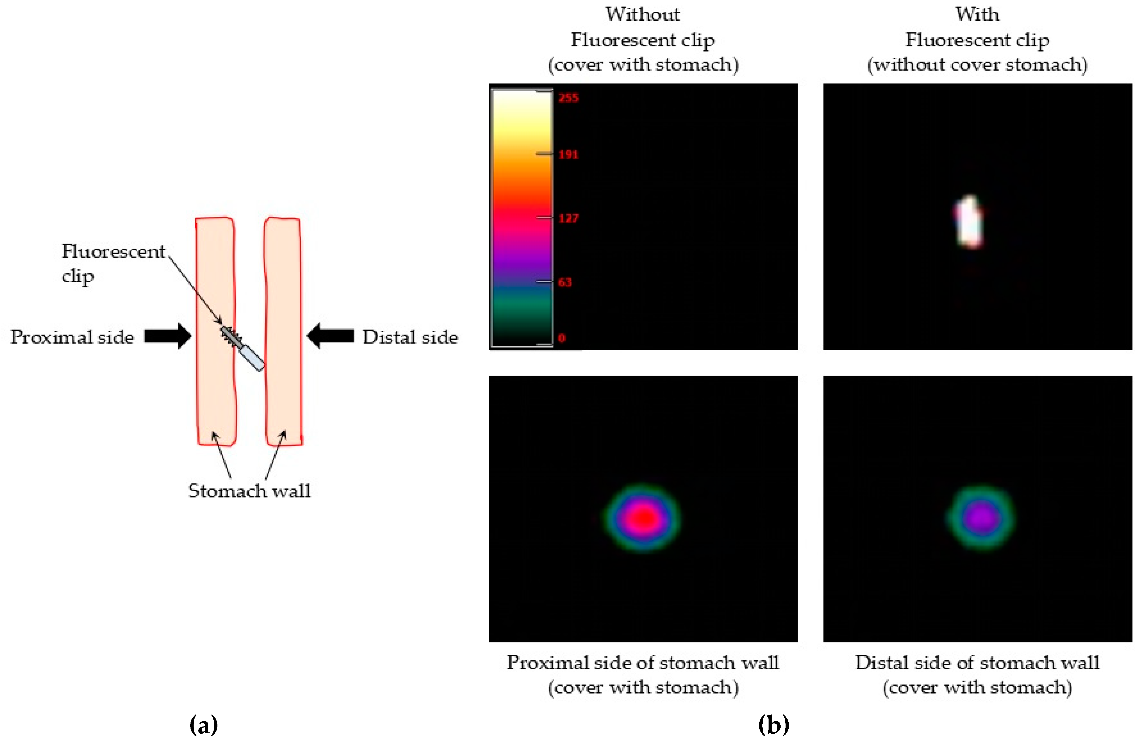 Micromachines 10 00081 g006 Micromachines 10 00081 g006