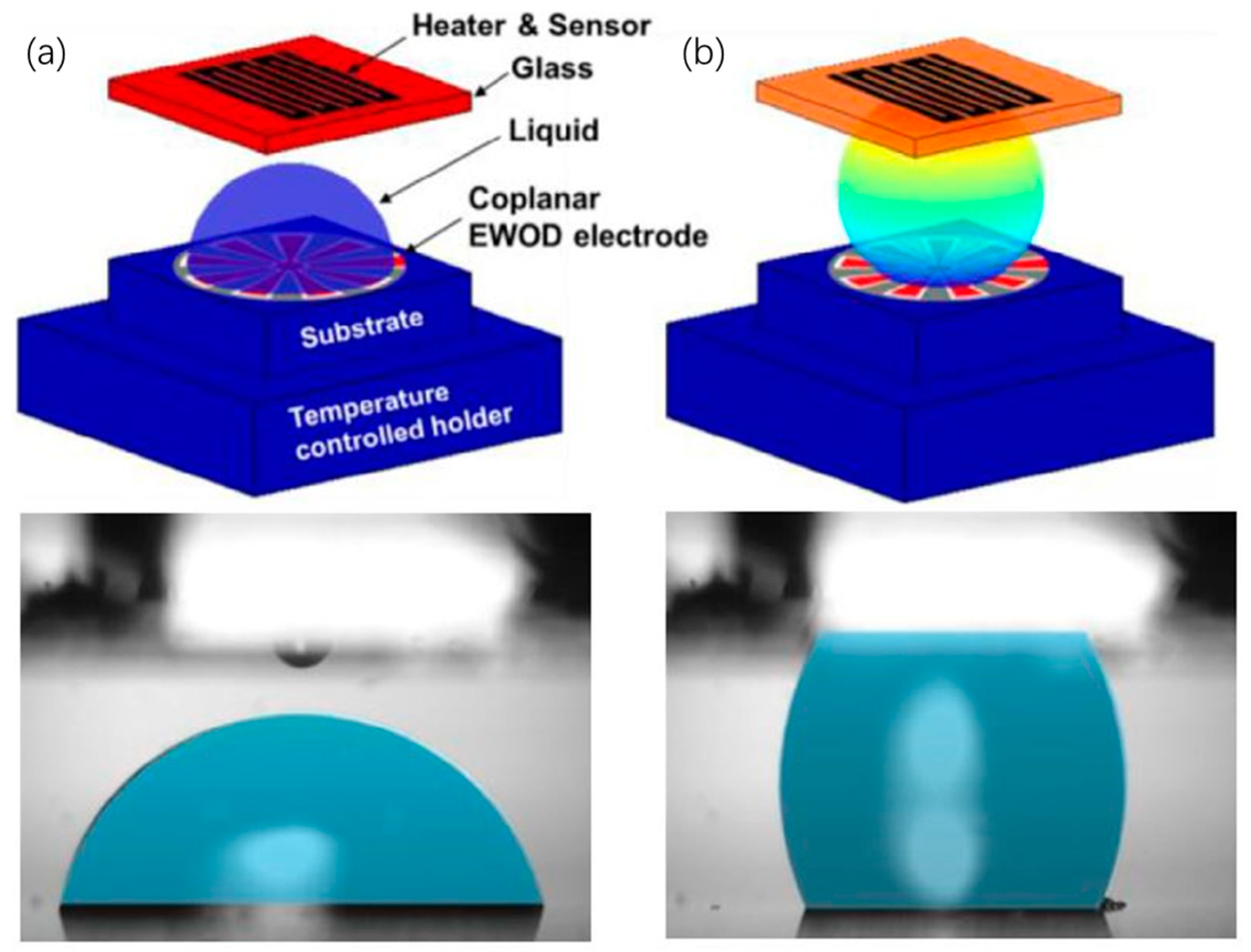 Micromachines 10 00089 g004 550