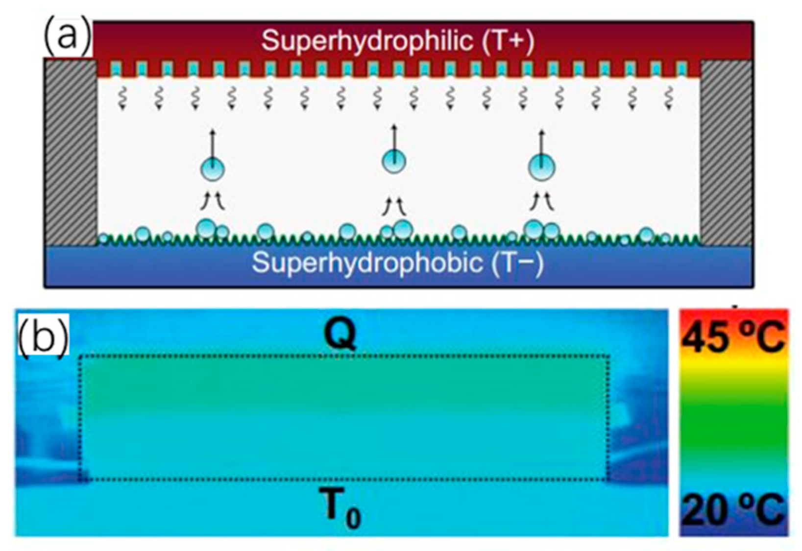 Micromachines 10 00089 g006 550