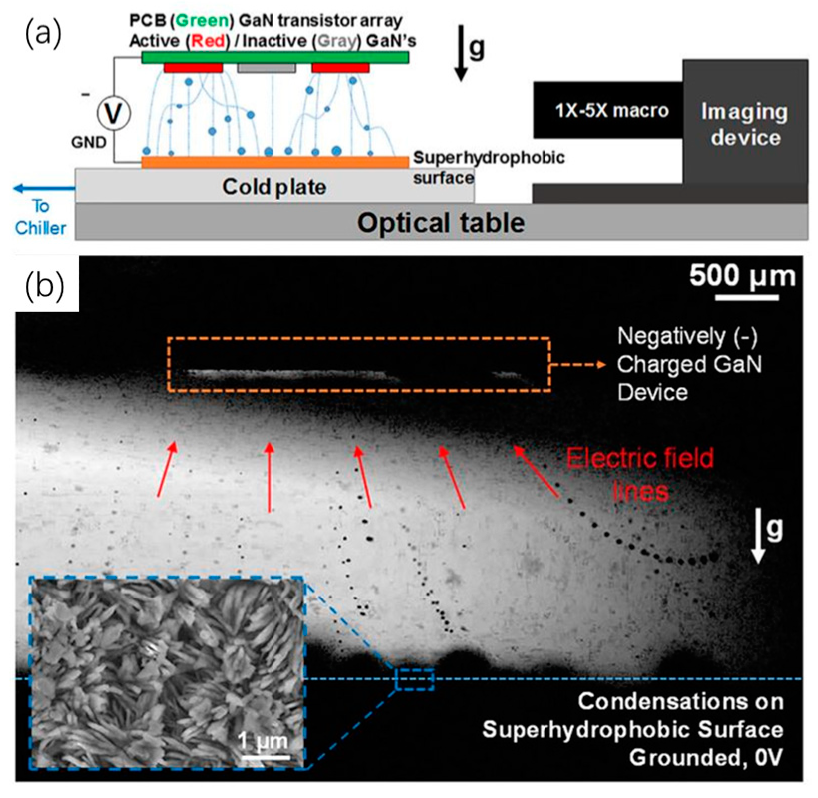 Micromachines 10 00089 g007 550