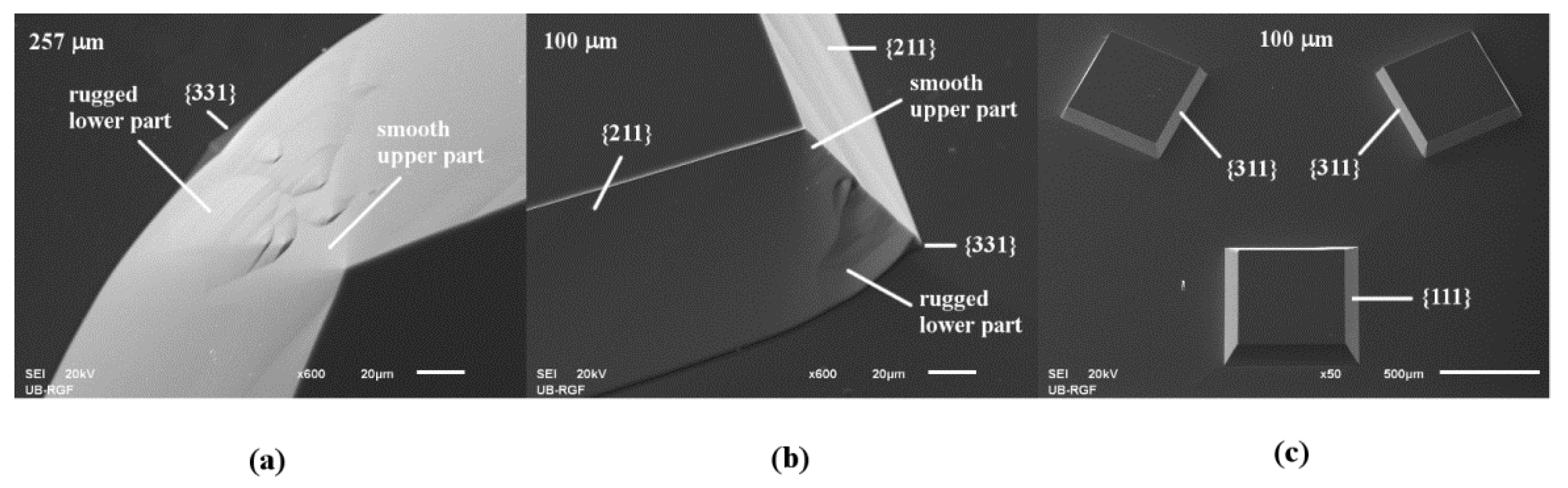 Micromachines 10 00102 g002 Micromachines 10 00102 g002