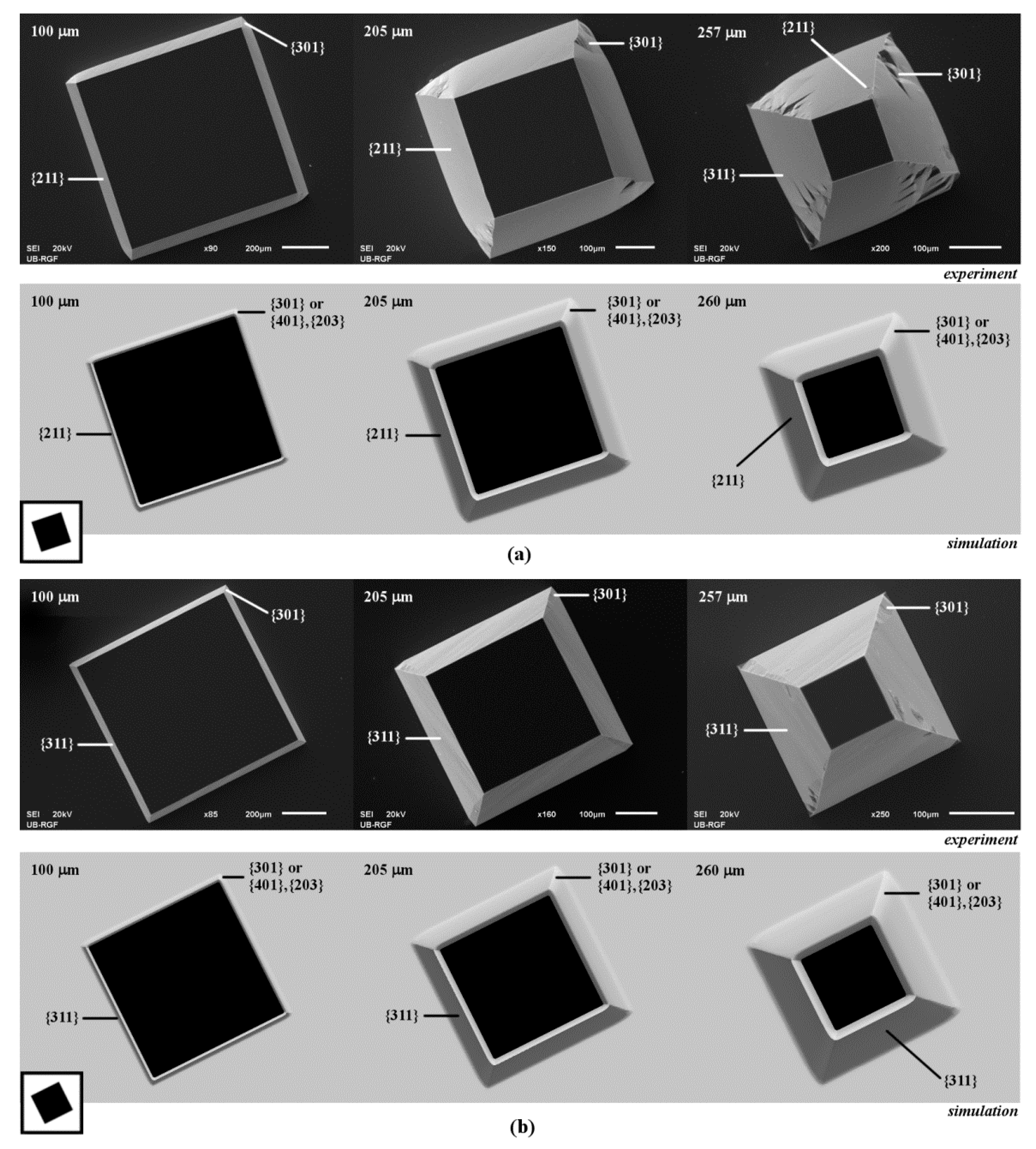 Micromachines 10 00102 g003 Micromachines 10 00102 g003
