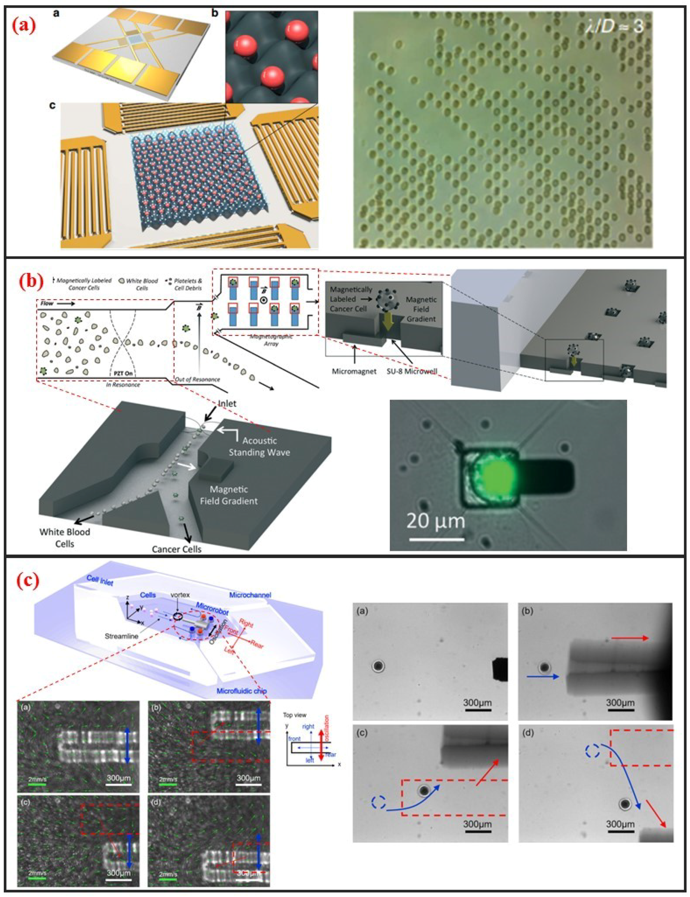 Micromachines 10 00104 g007 Micromachines 10 00104 g007