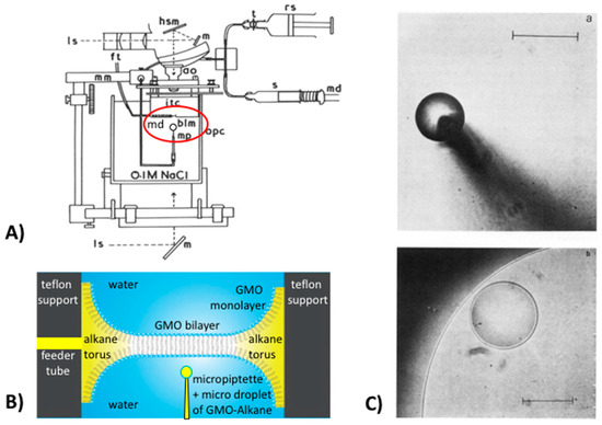 Micro-Surface and -Interfacial Tensions Measured Using the