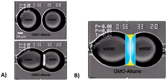 Micro-Surface and -Interfacial Tensions Measured Using the