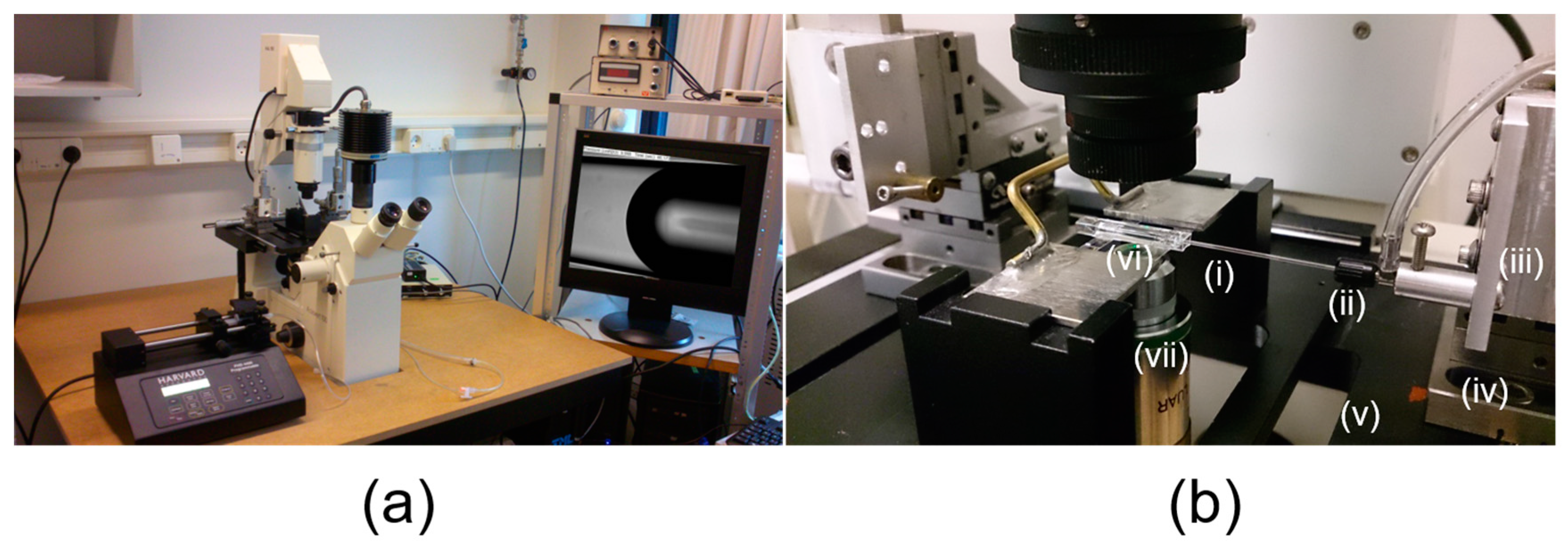 Micromachines 10 00105 g004 550