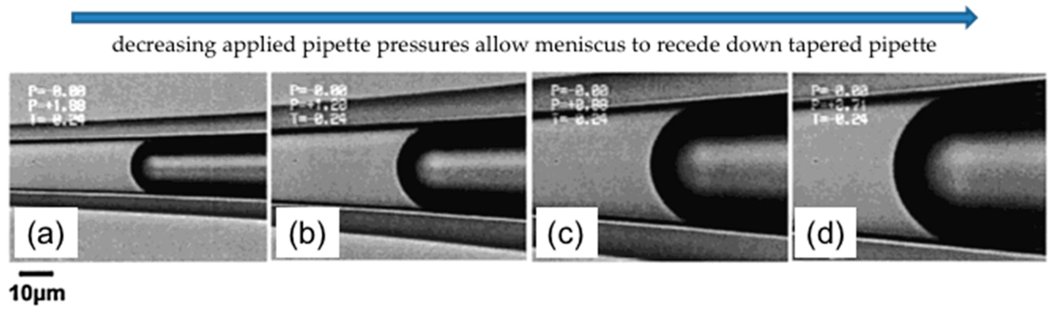 Micromachines 10 00105 g005 550