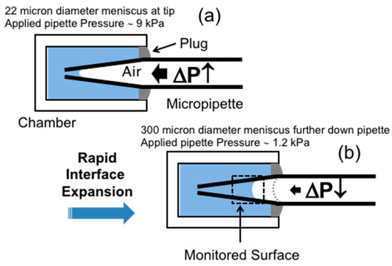 Micro-Surface and -Interfacial Tensions Measured Using the