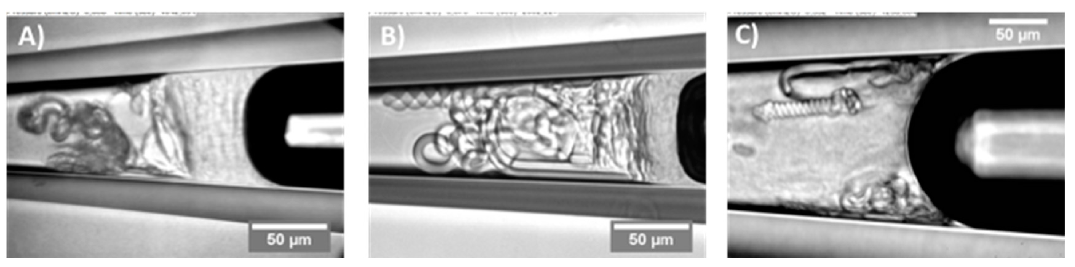 Micromachines 10 00105 g026 550