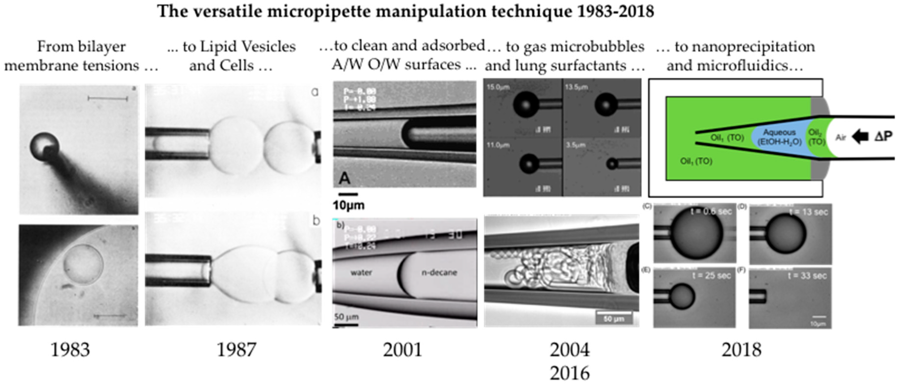 Liquid Lens Oxygen Inhibiting Gel, glycerin-based, ensures maximum surface