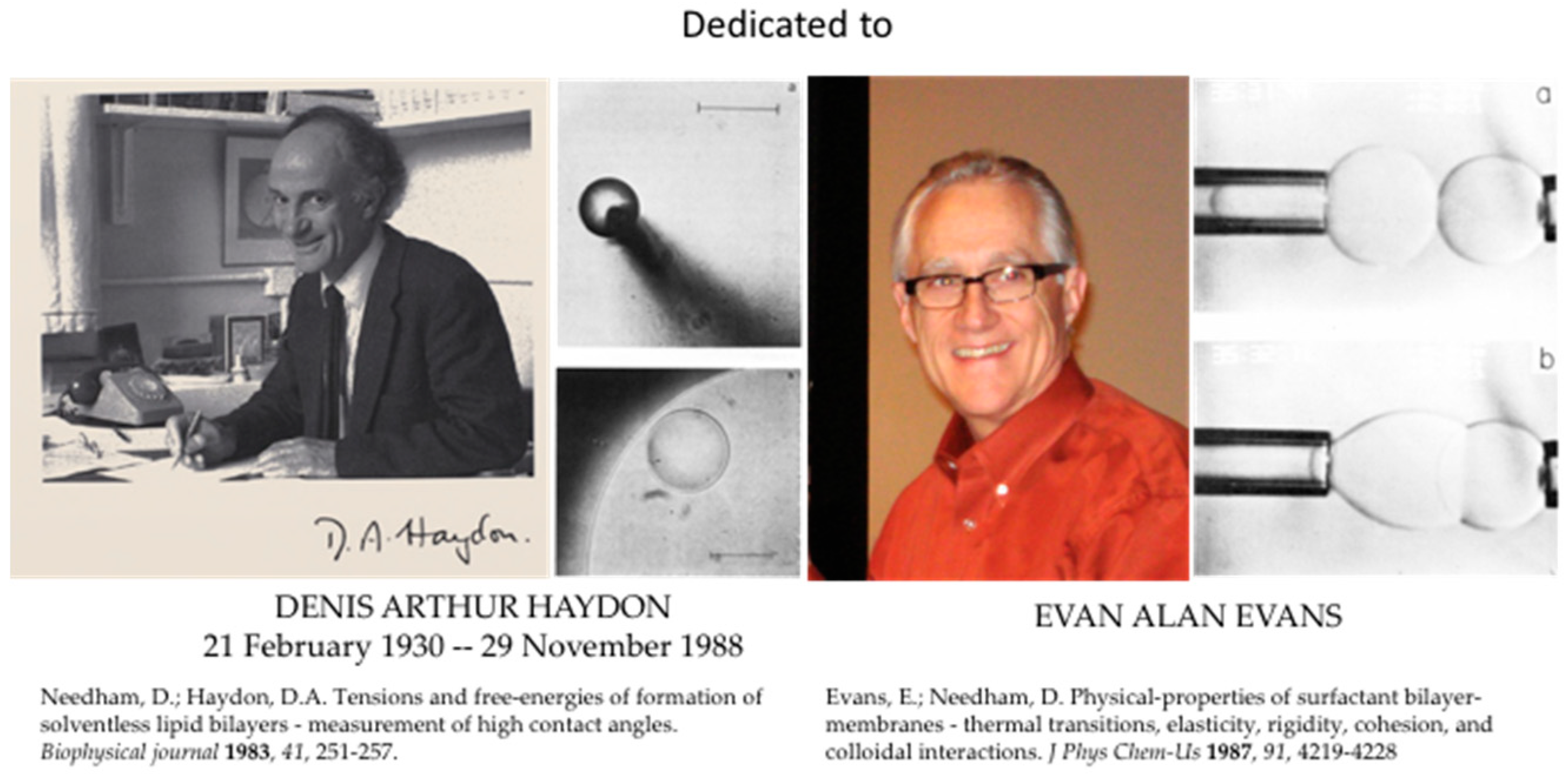 Micromachines 10 00105 i002