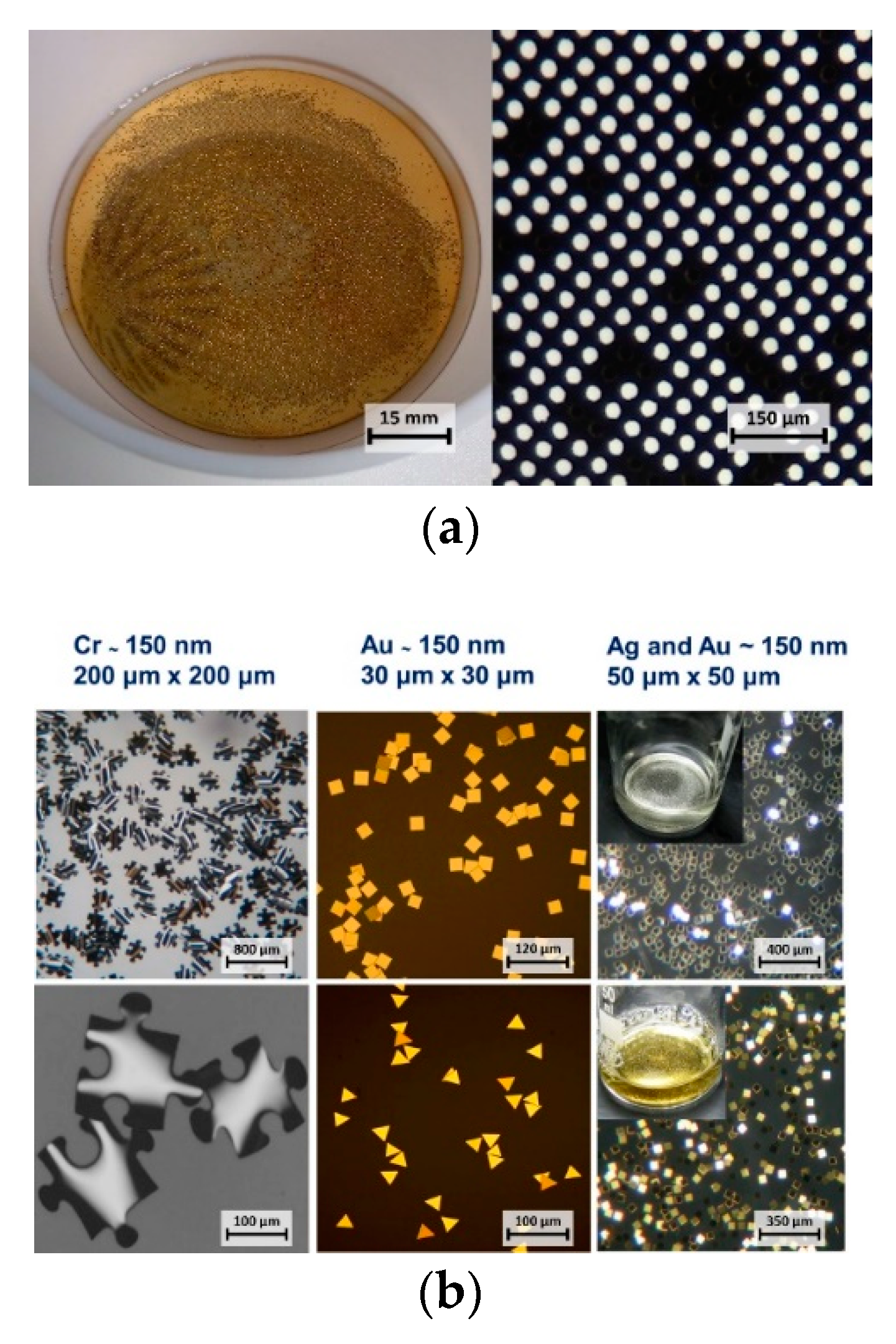 Micromachines 10 00106 g002 550