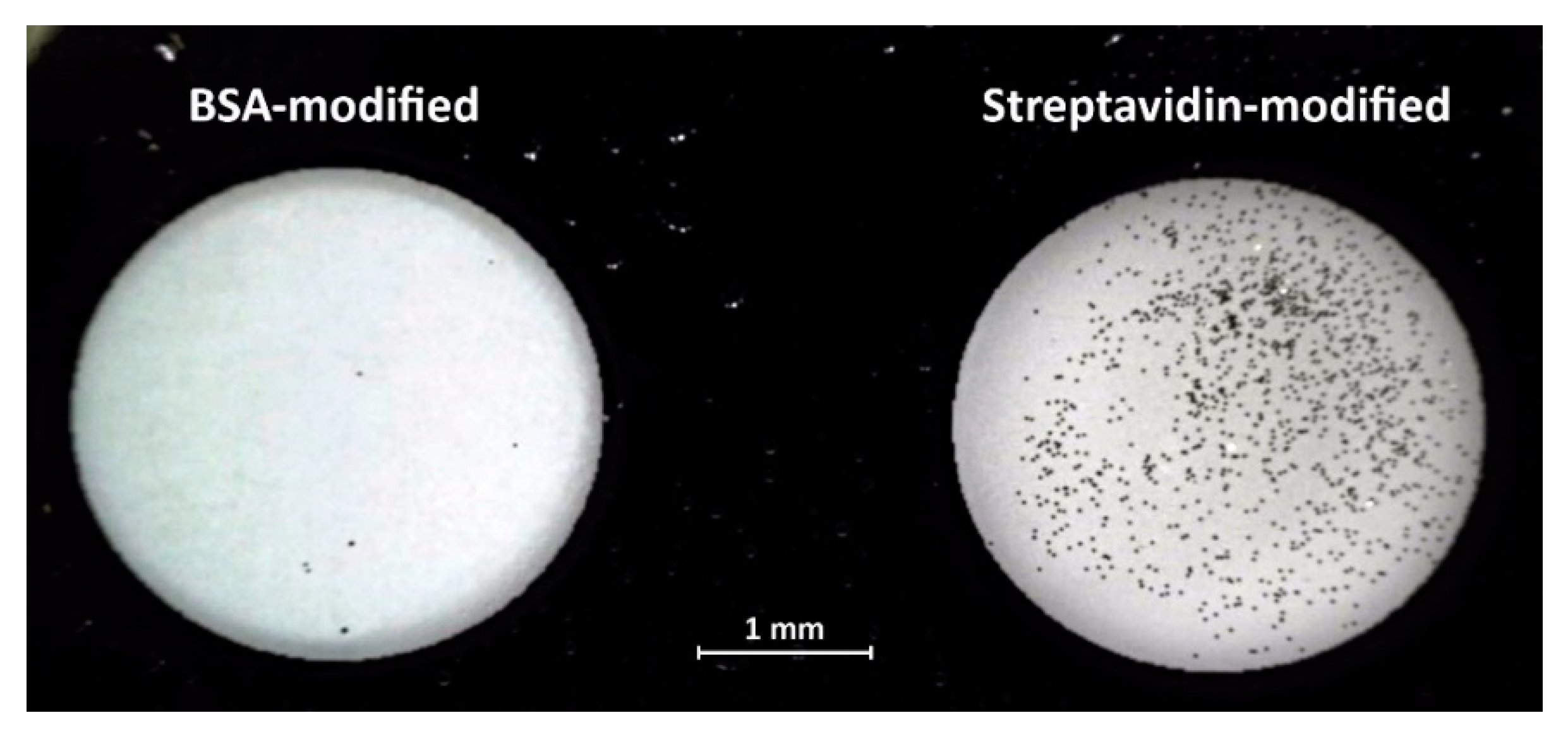 Micromachines 10 00106 g004 550