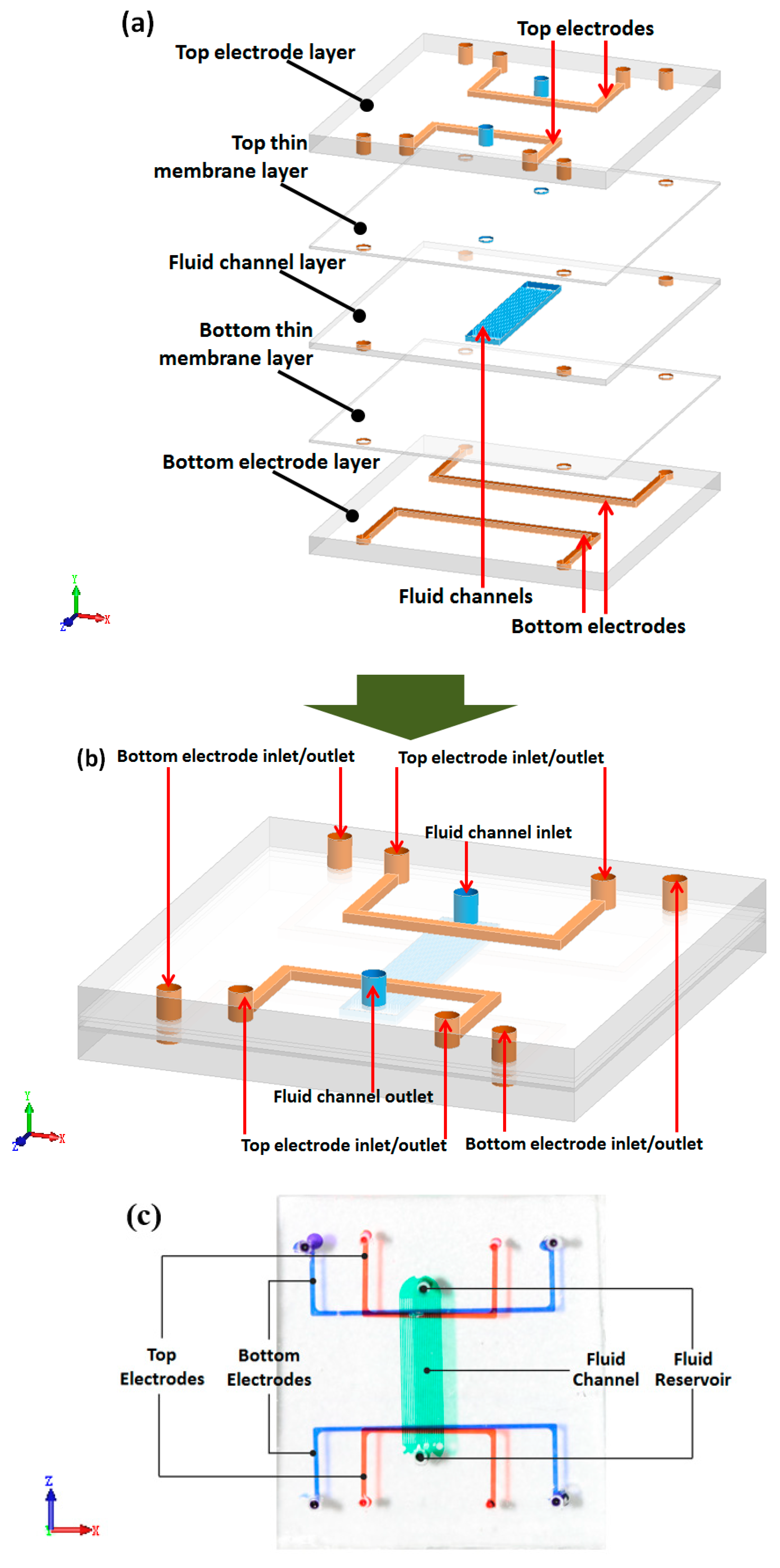 Micromachines 10 00112 g001 550
