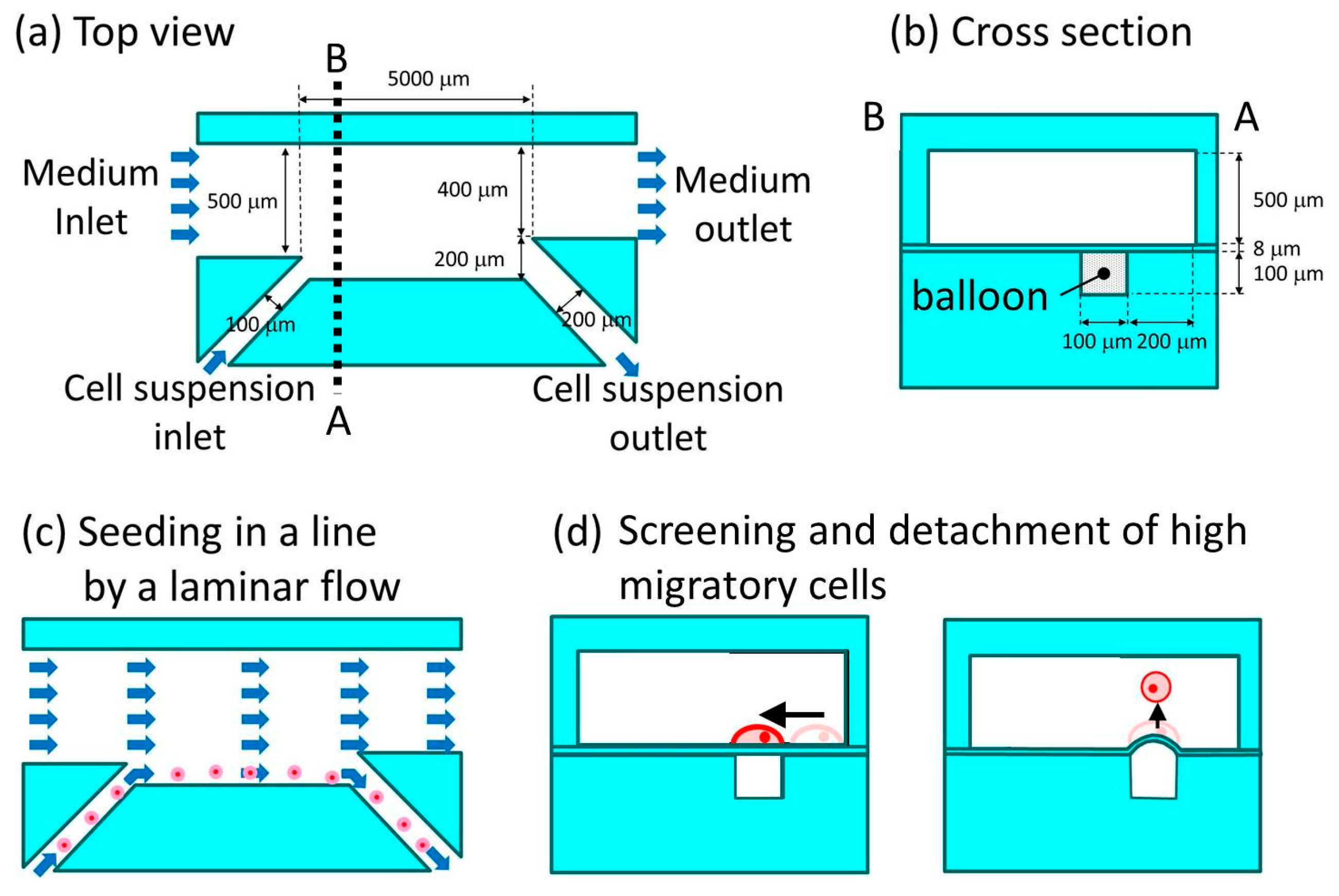 Micromachines 10 00116 g002
