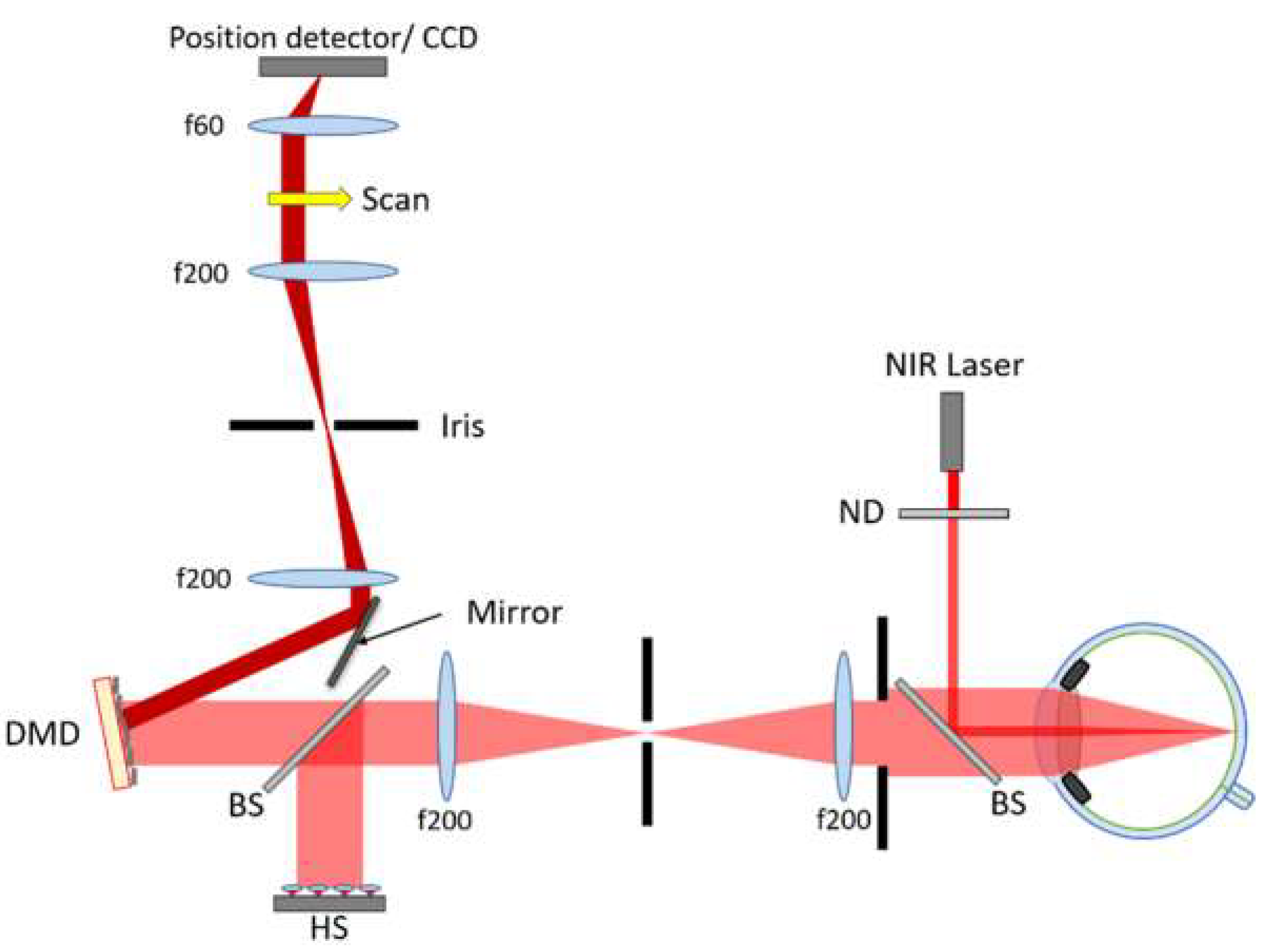 Micromachines 10 00117 g001 550